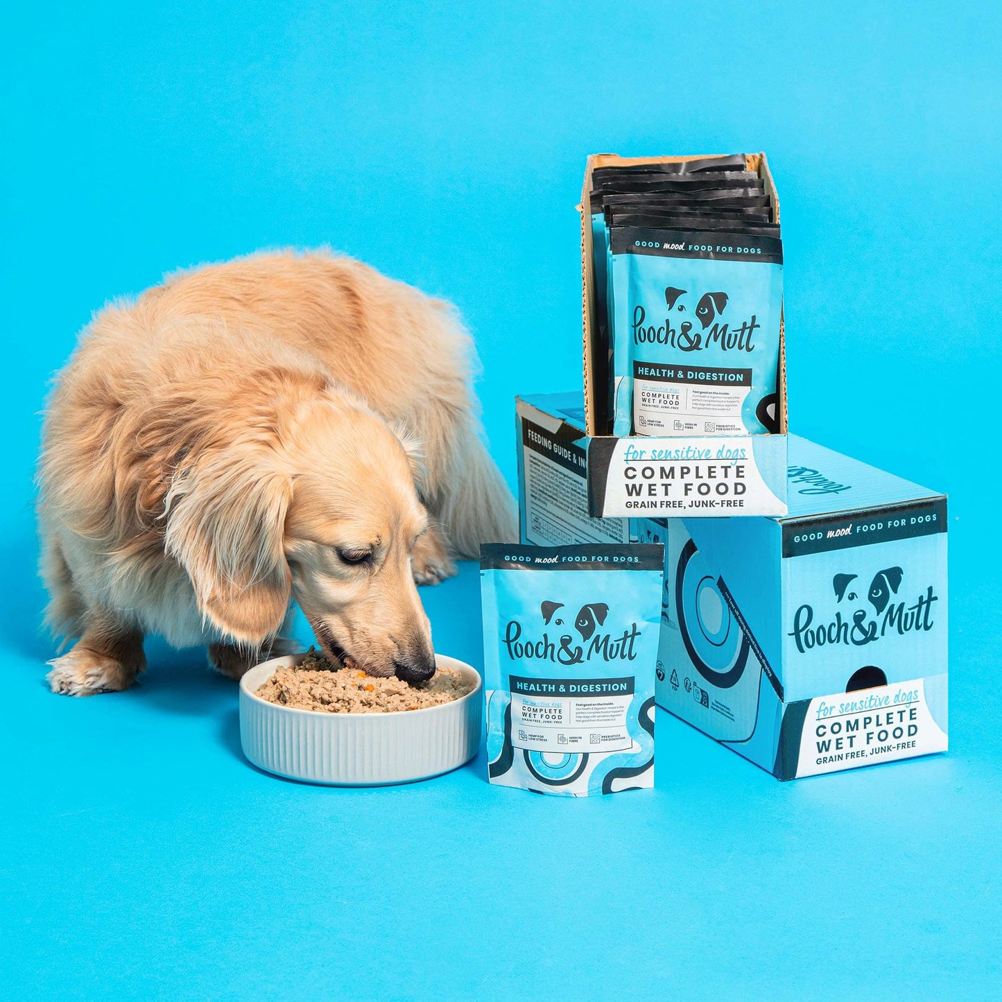 Pooch & Mutt - Health & Digestion, Complete Wet Dog Food (Grain Free), Turkey and Herring, Pack of 12 x 150g