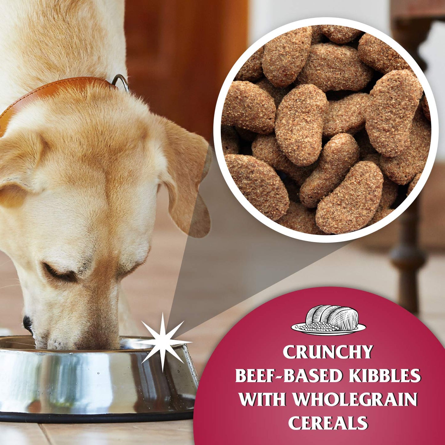 Dr John Silver Dry Dog Food 15kg - Beef with Vegetables - Complete Dog Biscuits 15kg - Senior and Adult Dog Food for Light Activity, Maintenance and Resting Dogs