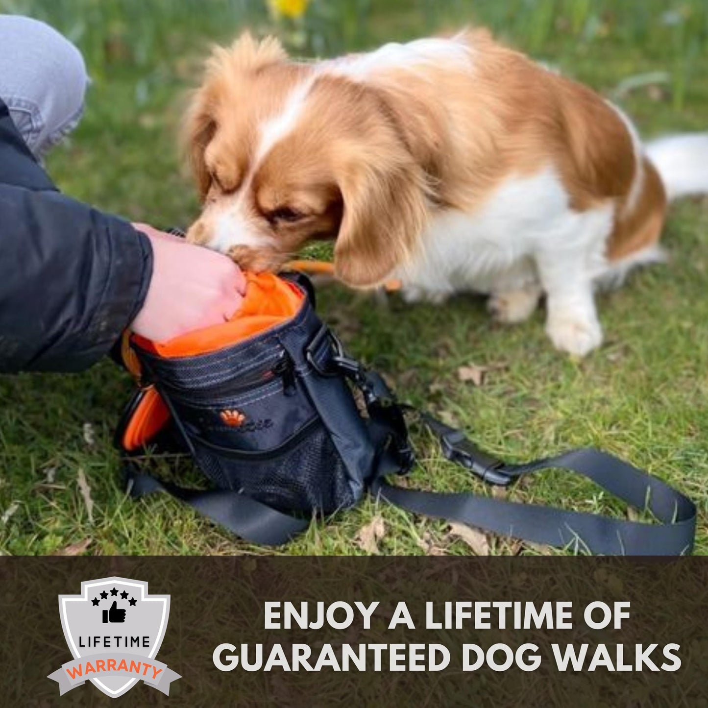 Sweetie Premium Dog Treat Pouch Bag for Walking & Training, with Poop Bag Holder, Collapsible Bowl & Free Clicker - Perfect Puppy Kit
