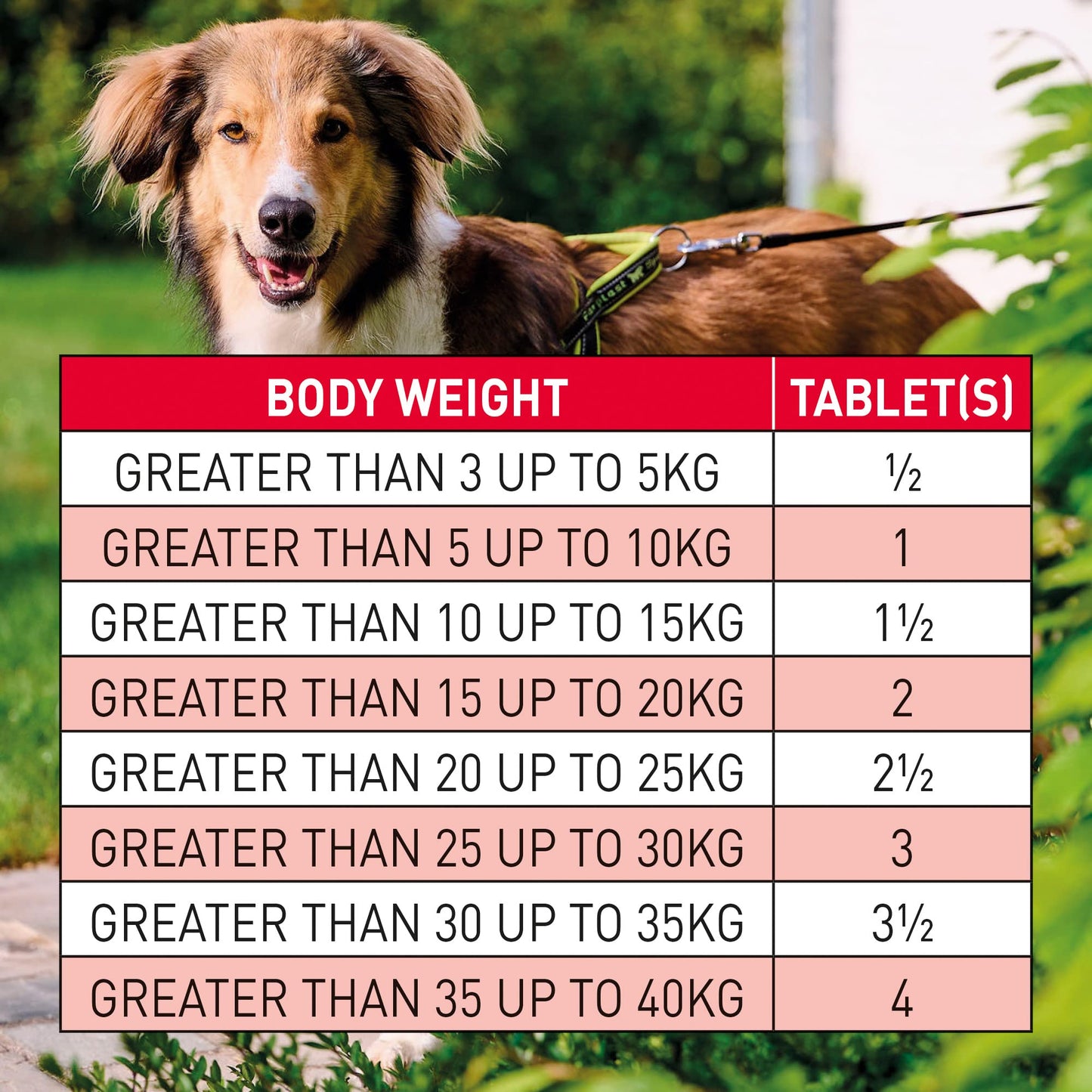 Beaphar | WORMclear® Tablets for Dogs up to 40kg | Kills All Common UK Intestinal Worms (Roundworms & Tapeworms) | Vet Strength Treatment | Pork-flavoured | 4 tablets