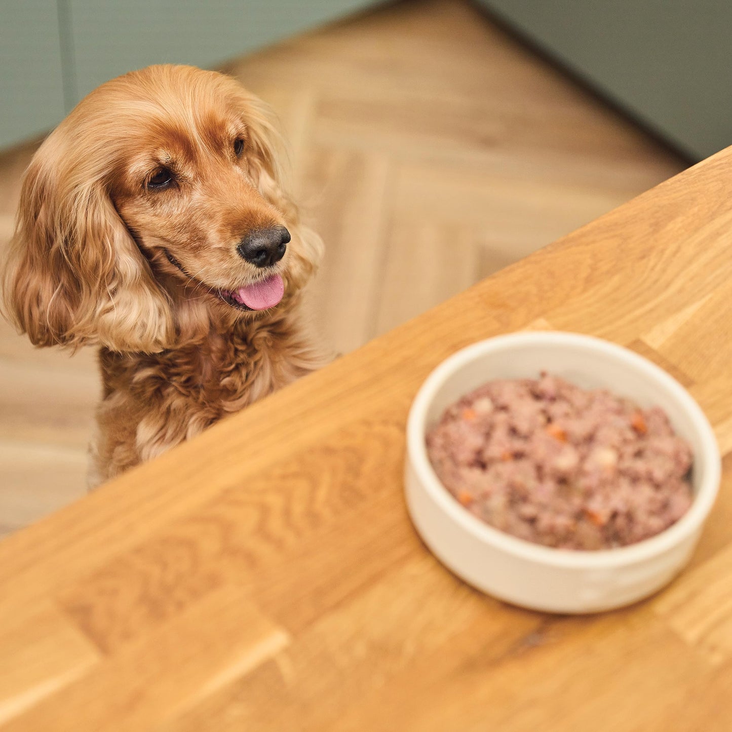 Lily's Kitchen Natural Adult Wet Dog Food Tray Cottage Pie Grain-Free Recipe 10 x 150g
