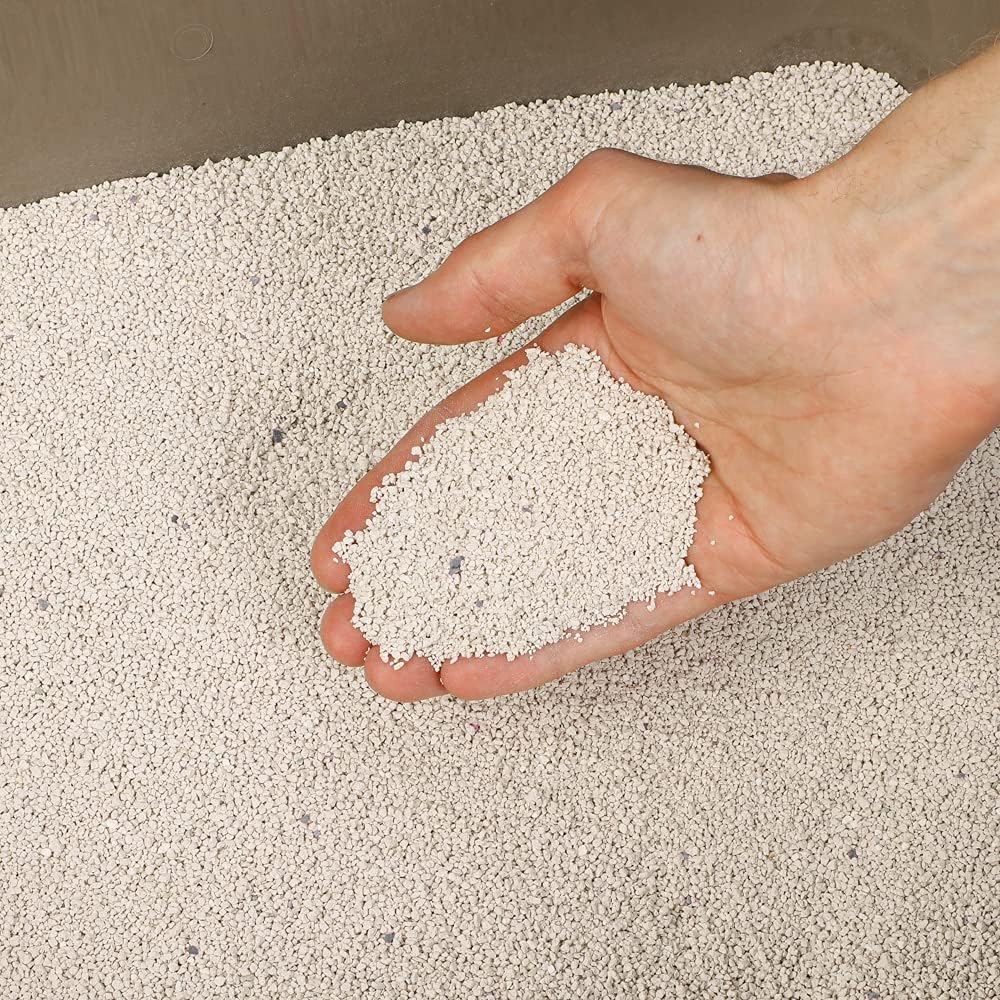 Petsentials Super Clumping Cat Litter with Activated Carbon – 10L | Ultra Absorbent Bentonite Clay, Odour Control, Fast Clumping, Low Dust | Premium Cat Litter for Hygienic Litter Box