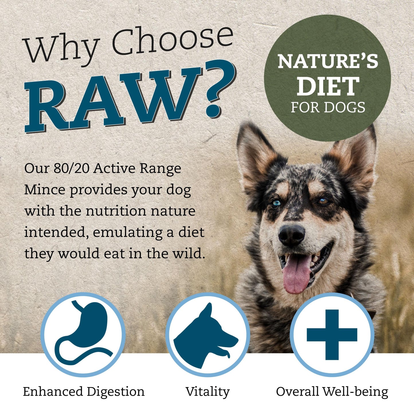 Cotswold RAW Raw Dog Food, Active 80/20 Mince, Adult Dog Food, BARF Premium British Meat Raw for All Dogs, Frozen Meal, Chicken and Turkey Mince - 7kg