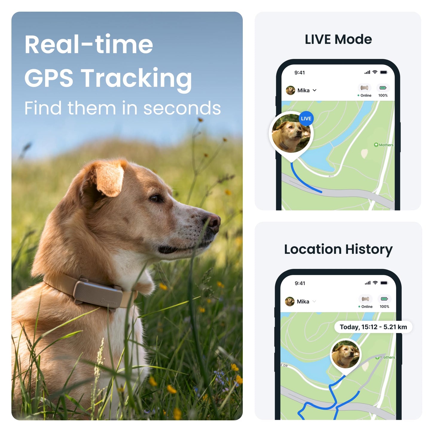 Tractive GPS Dog Tracker | 2025 Edition | Market leader | Real-time location tracking | Escape Alerts | Activity Monitoring | Health Alerts | Bark Monitoring