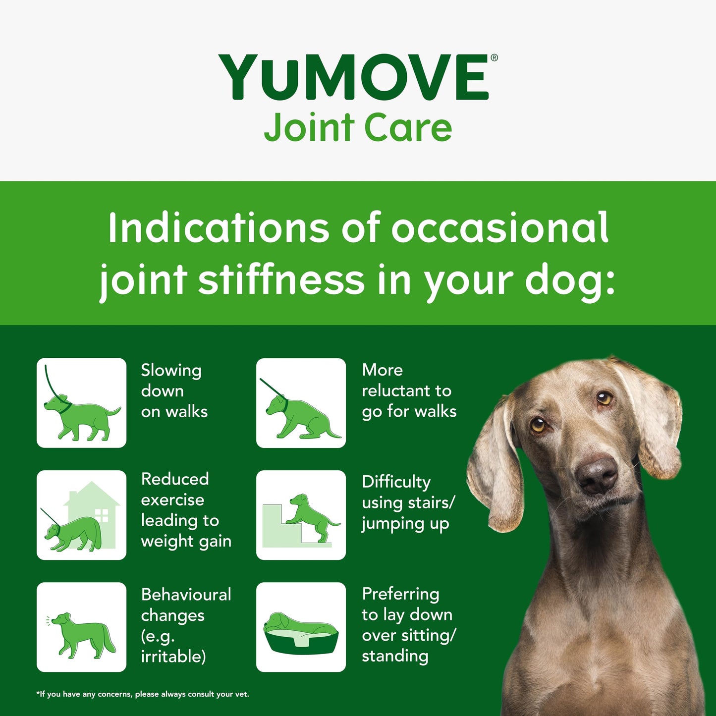YuMOVE Max Strength Joint Supplement for Senior Dogs, Essential Dog Hip and Joint Aid for Senior Dogs with Glucosamine, Chondroitin, Green Lipped Mussel, Aged 8+, 60 Chews