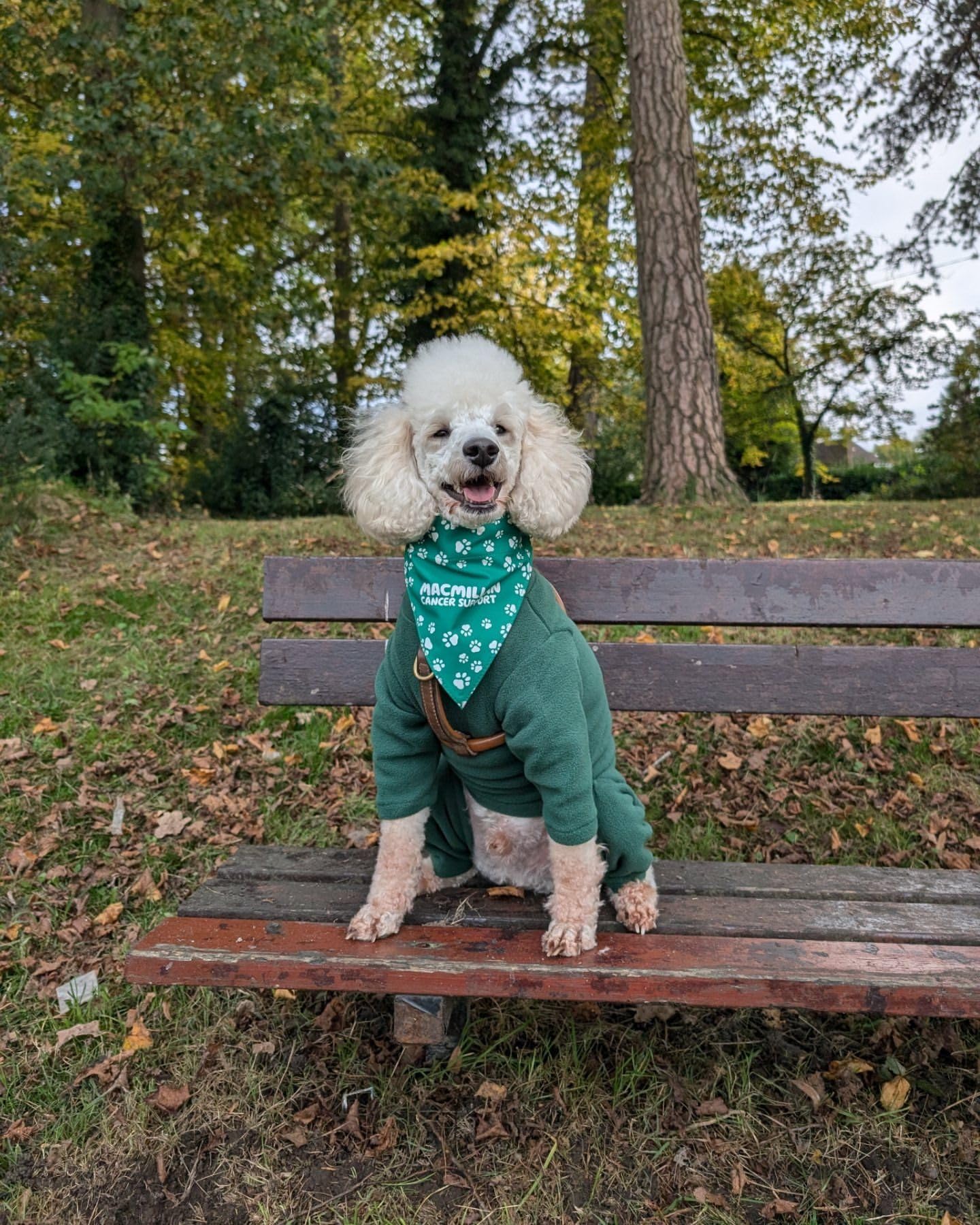 Warm Four-Legged Dog Fleece – Super Soft, Weather-Resistant, Available in a Range of Sizes and Colours