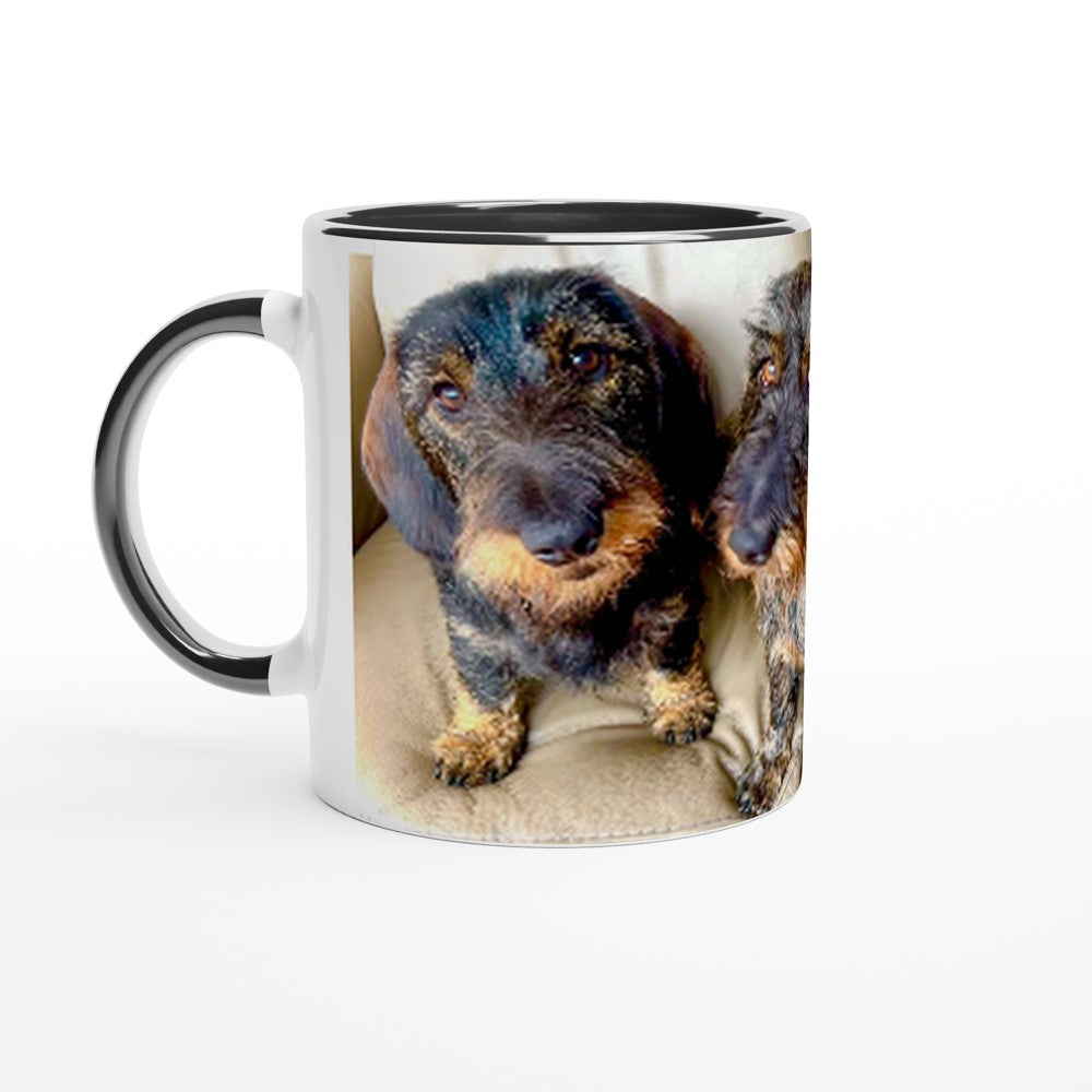 81a63b95-3532-4230-a3c9-ff3c31b30622