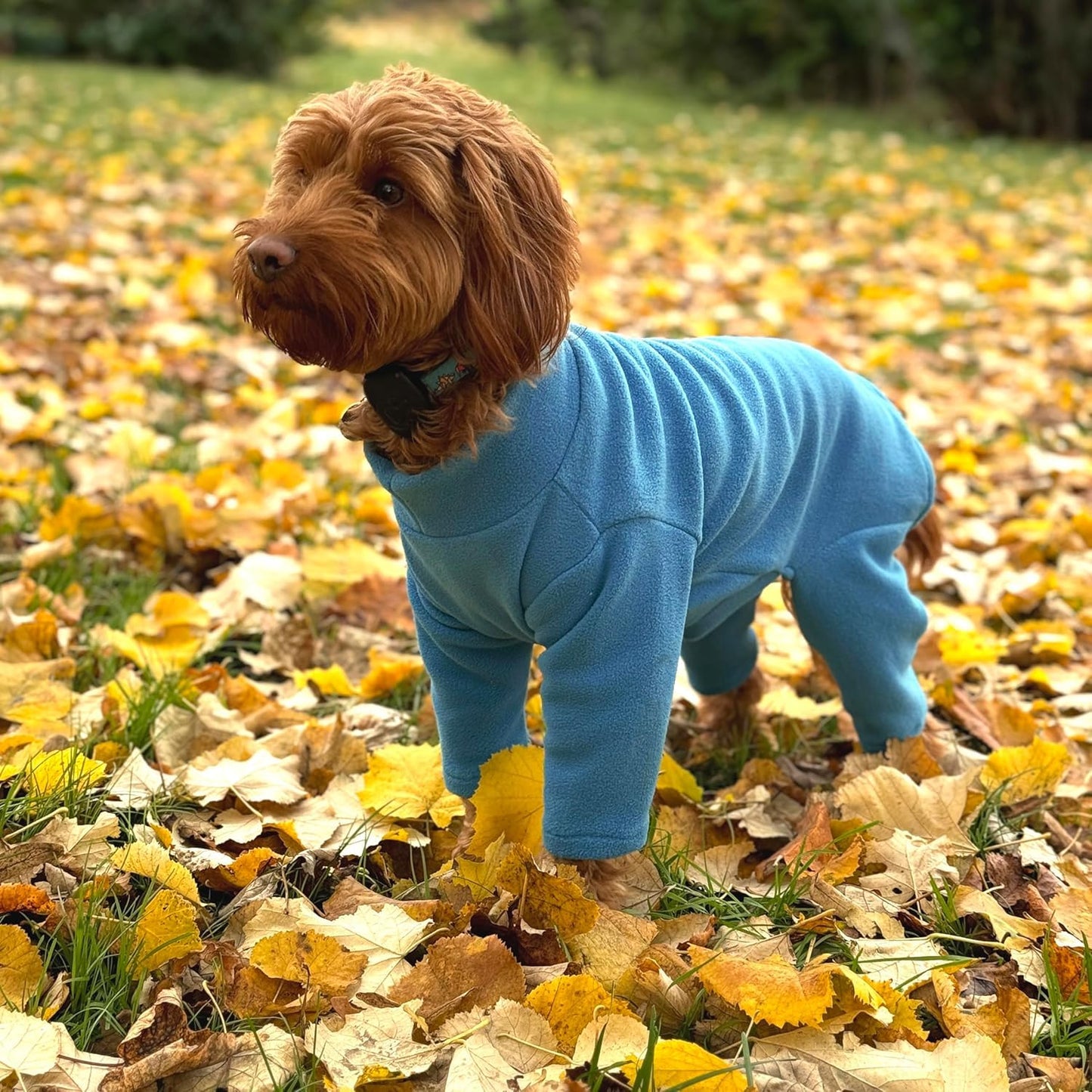 Warm Four-Legged Dog Fleece – Super Soft, Weather-Resistant, Available in a Range of Sizes and Colours