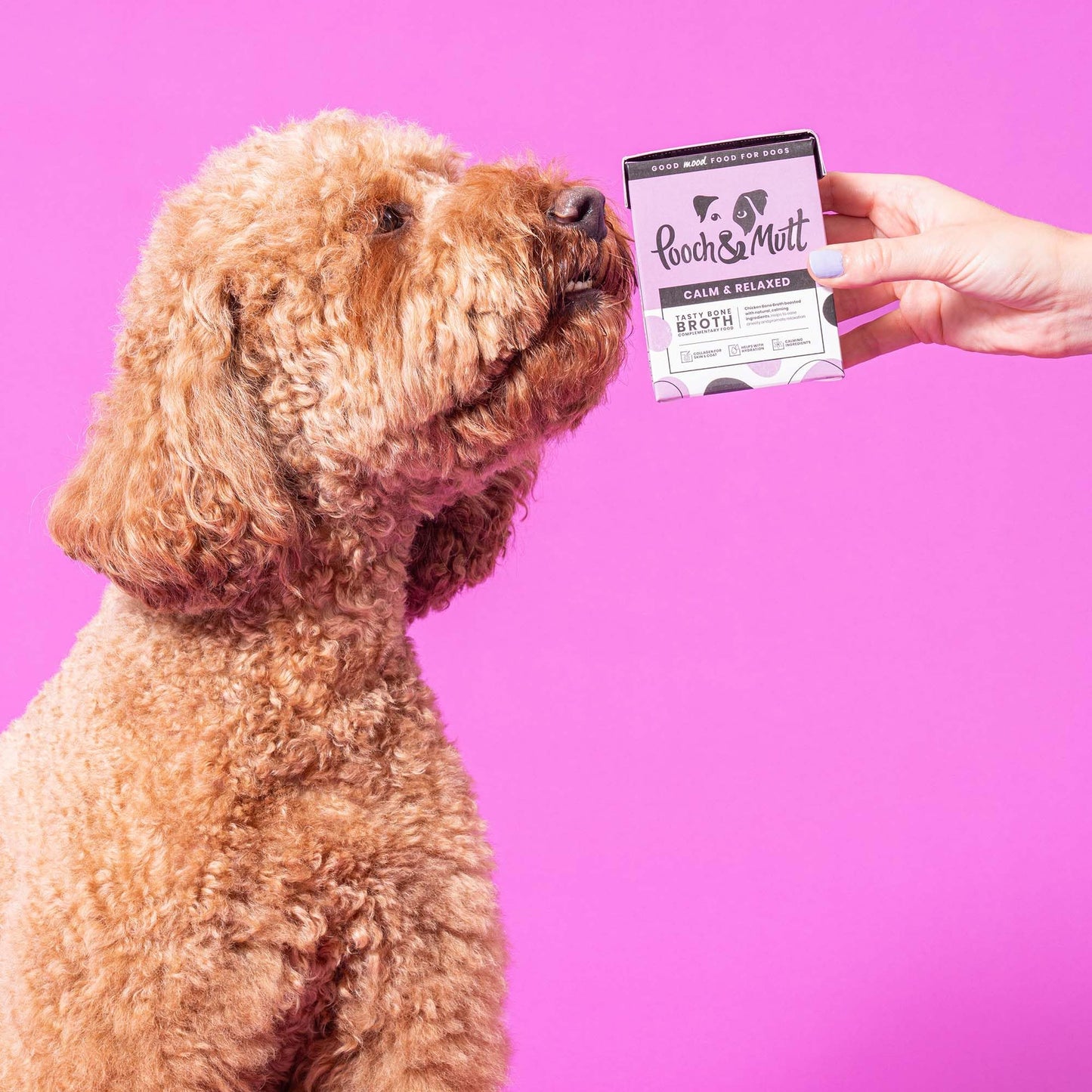 Pooch & Mutt - Calm & Relaxed, Complete Dry Dog Food (Grain Free), Turkey and Sweet Potato