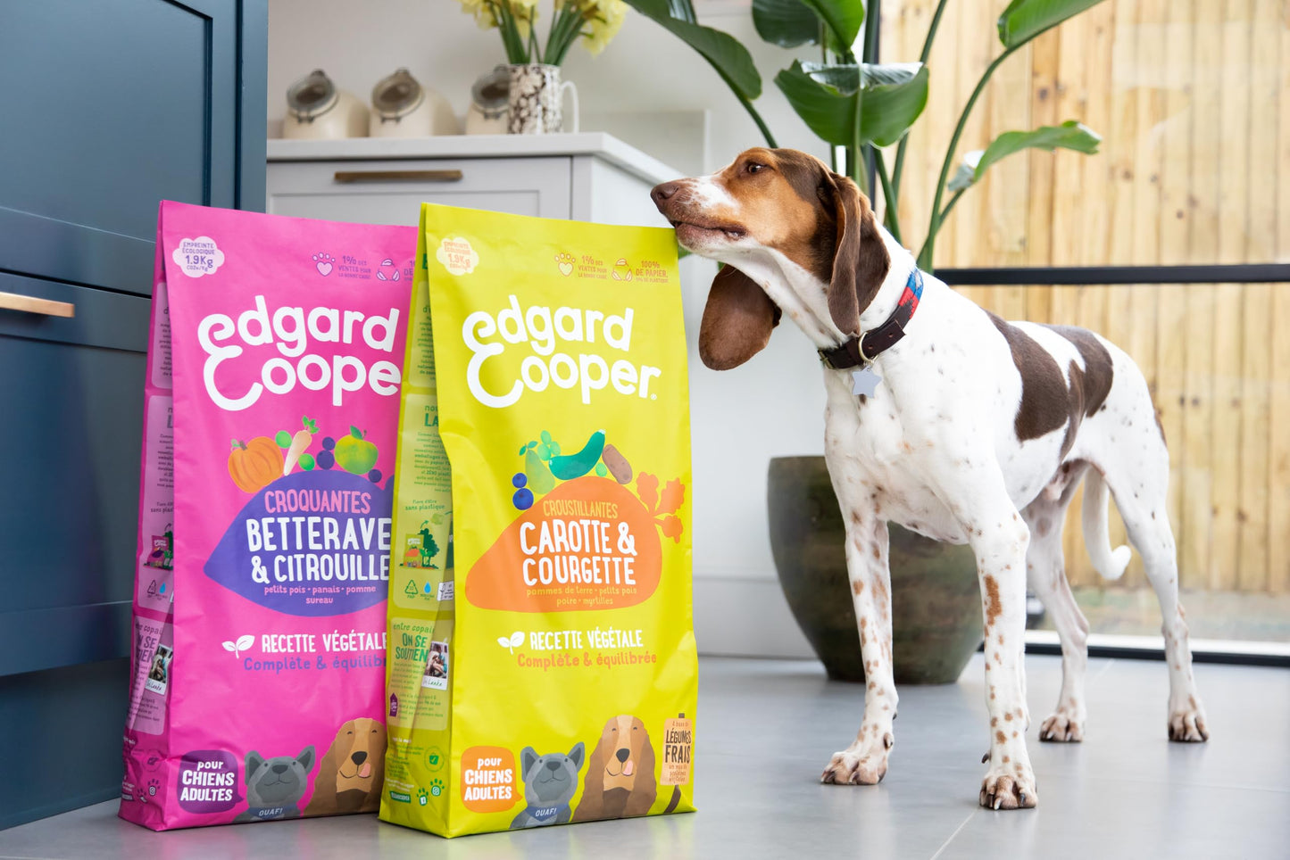 Edgard Cooper Grain Free Dog Food Dry, Natural Kibble Dry Dog Food for Adults, Gluten-Free, Hypoallergenic, with Fresh Meat & Amino Acids