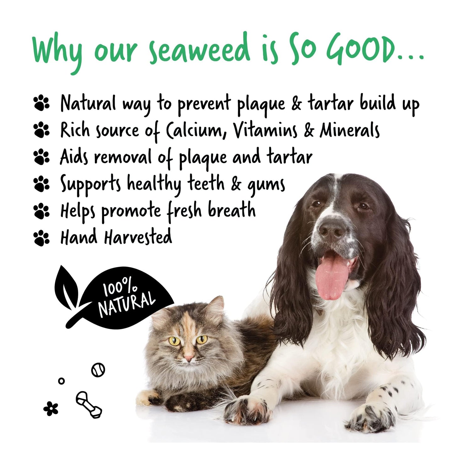 BUGALUGS Plaque Off Remover for Dog 70g Teeth & Bad Breath 100% Natural | Plaque Off Dogs No Need for Dog Toothbrush or Dog Toothpaste | Remove Dog Bad Breath & Plaque Remover for Dogs & Cats (70g)