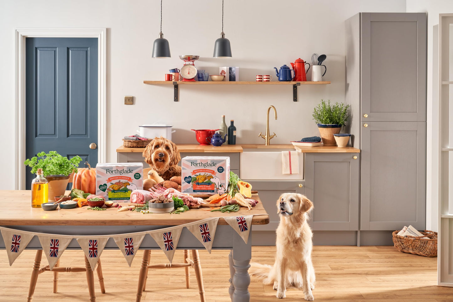 Forthglade British Classics Wet Dog Food Variety Pack (12 x 395g Trays) - Grain Free & Hypoallergenic Dog Food, Adult 1 Year+, Chicken, Lamb and Beef with Vegetables, Stomach Sensitive Meals