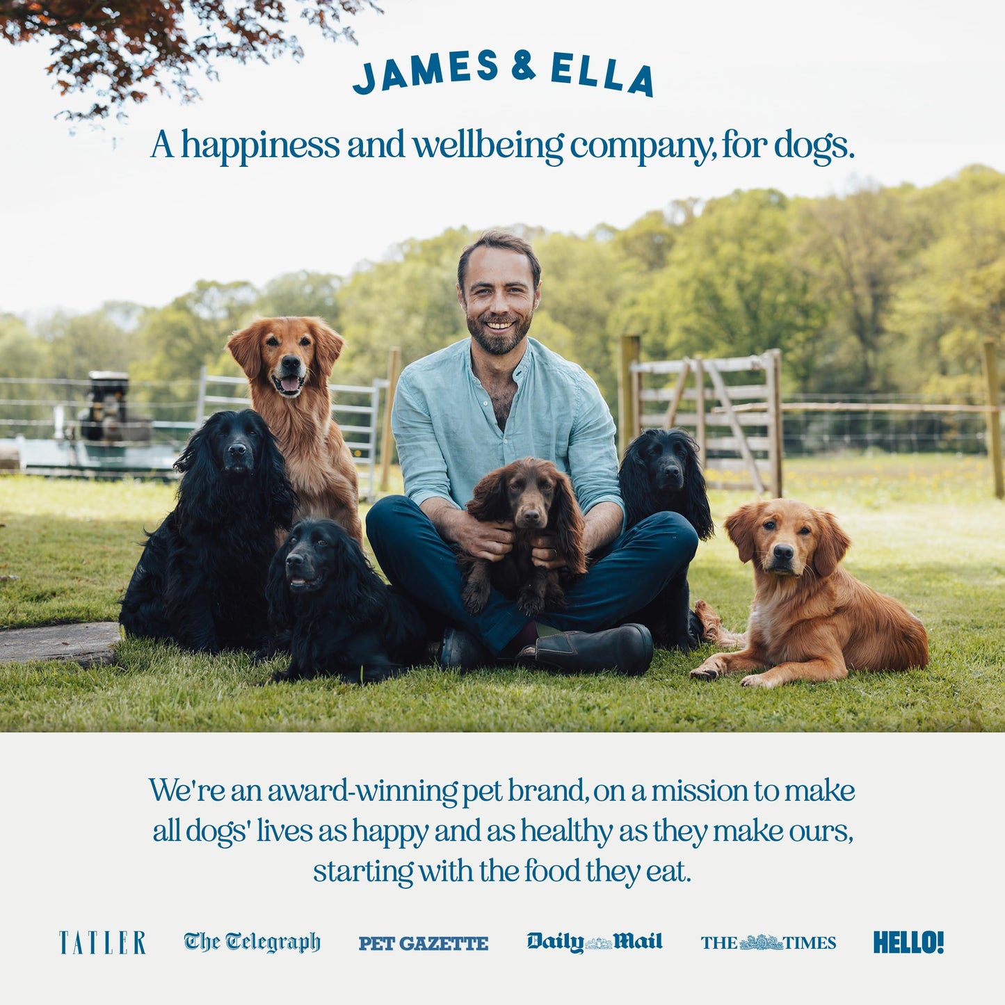 James & Ella Complete Freeze-Dried Raw Dog Food ❘ Free Run Chicken ❘ Freeze-Dried Dog Food, Packed with Protein, Essential Oils & Minerals for Happy, Healthy Dogs, Lightweight & Gluten Free (500g)