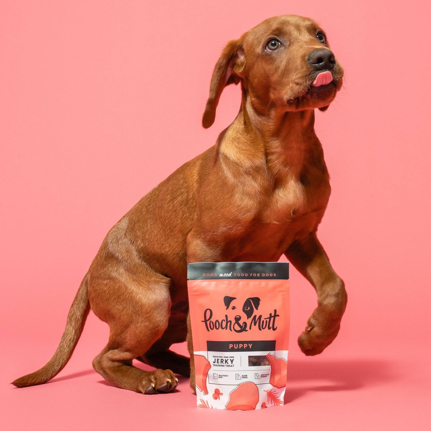 Pooch & Mutt - Meaty Jerky Treats, Grain Free Baltic Beef for Training Reward