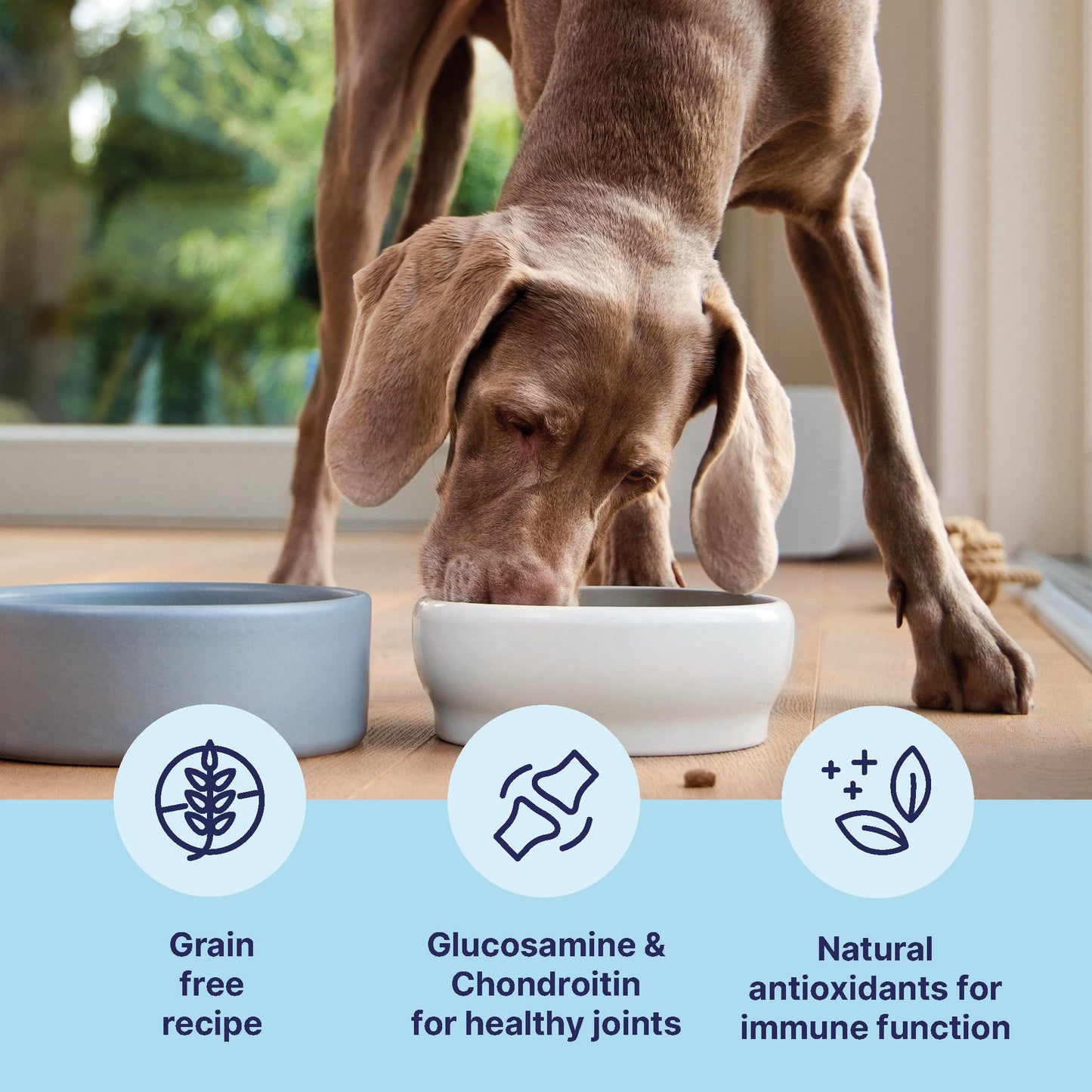Tails.com Inner Vitality - Dry Dog Food Medium & Large Adult Chicken 2kg - 1-7 yrs - Source of glucosamine & chondroitin to support healthy joints