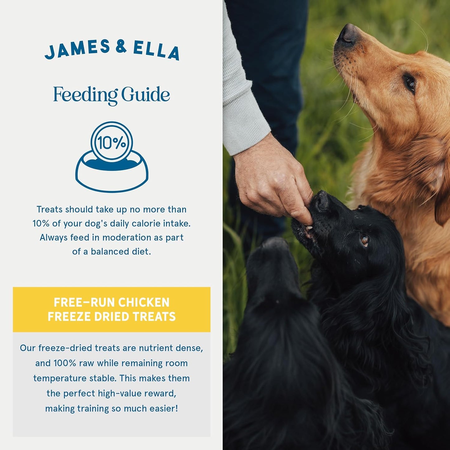 James & Ella Freeze-Dried Dog Treats (40g) ❘ Delicious Country Game Freeze-Dried Dog Treats, Packed with Protein, Essential Oils & Minerals for Happy, Healthy Dogs, Lightweight & Gluten Free
