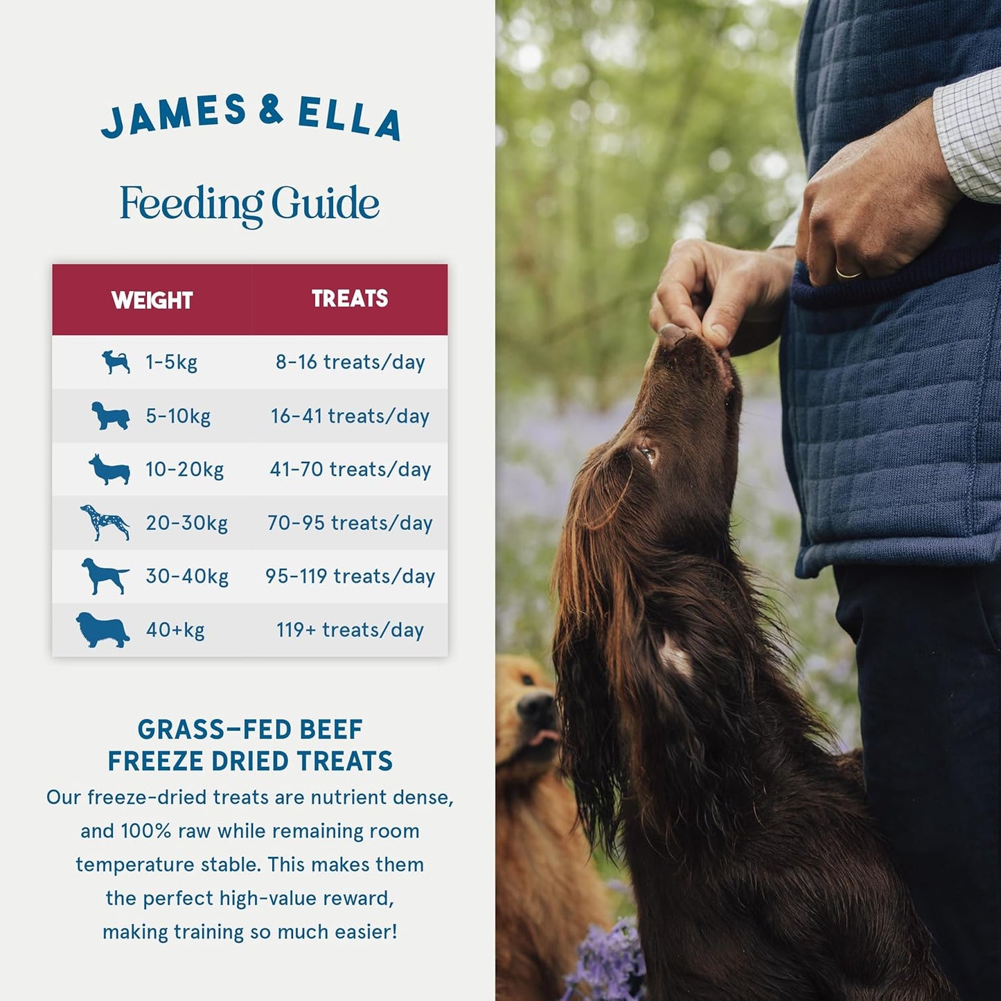 James & Ella Freeze-Dried Dog Treats (40g) ❘ Delicious Country Game Freeze-Dried Dog Treats, Packed with Protein, Essential Oils & Minerals for Happy, Healthy Dogs, Lightweight & Gluten Free