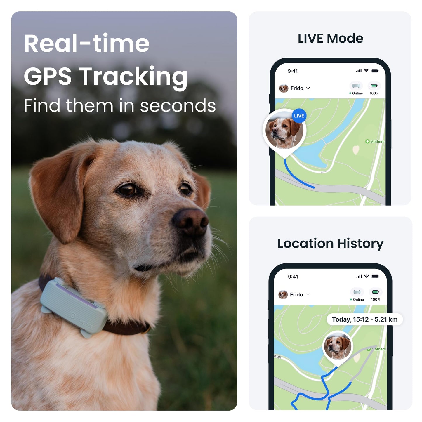 Tractive GPS Dog Tracker | 2025 Edition | Market leader | Real-time location tracking | Escape Alerts | Activity Monitoring | Health Alerts | Bark Monitoring
