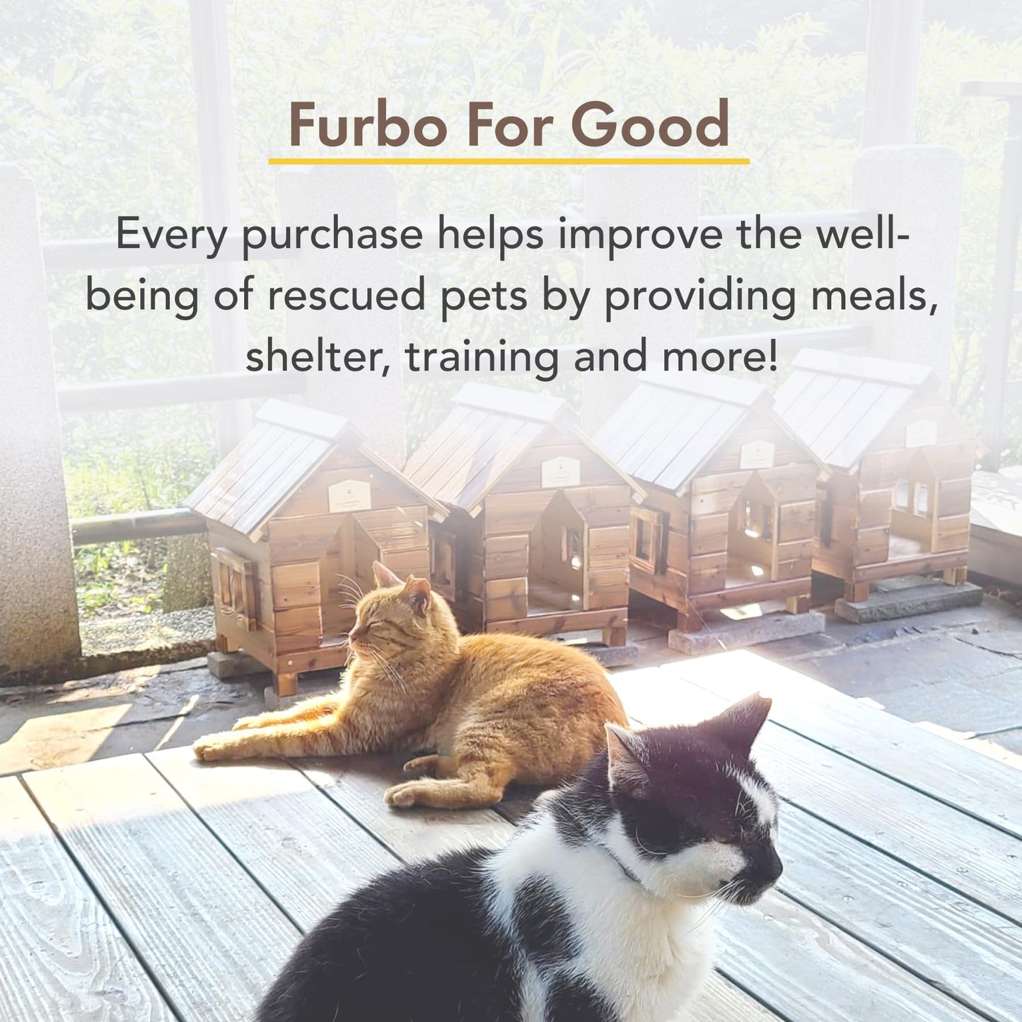 Furbo 360° Dog Camera w/Home Safety Package [PREMIUM W/SUBSCRPITION] Smart Pet Monitor w/App for Dog & Home, Rotating 360° View, Colour Night Vision, Auto-Tracking, Treat-toss, Barking, Smart Alert
