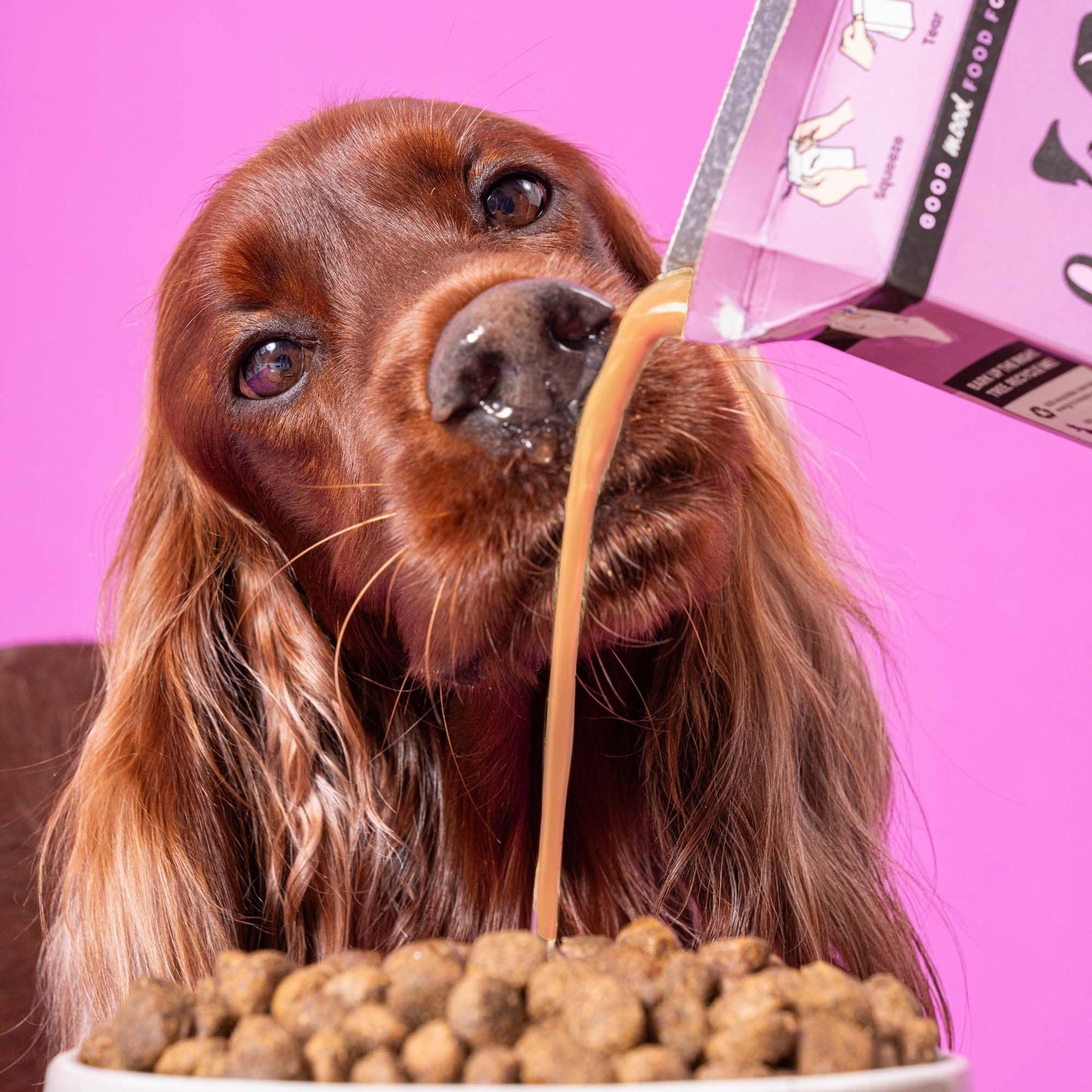 Pooch & Mutt - Calm & Relaxed, Complete Dry Dog Food (Grain Free), Turkey and Sweet Potato