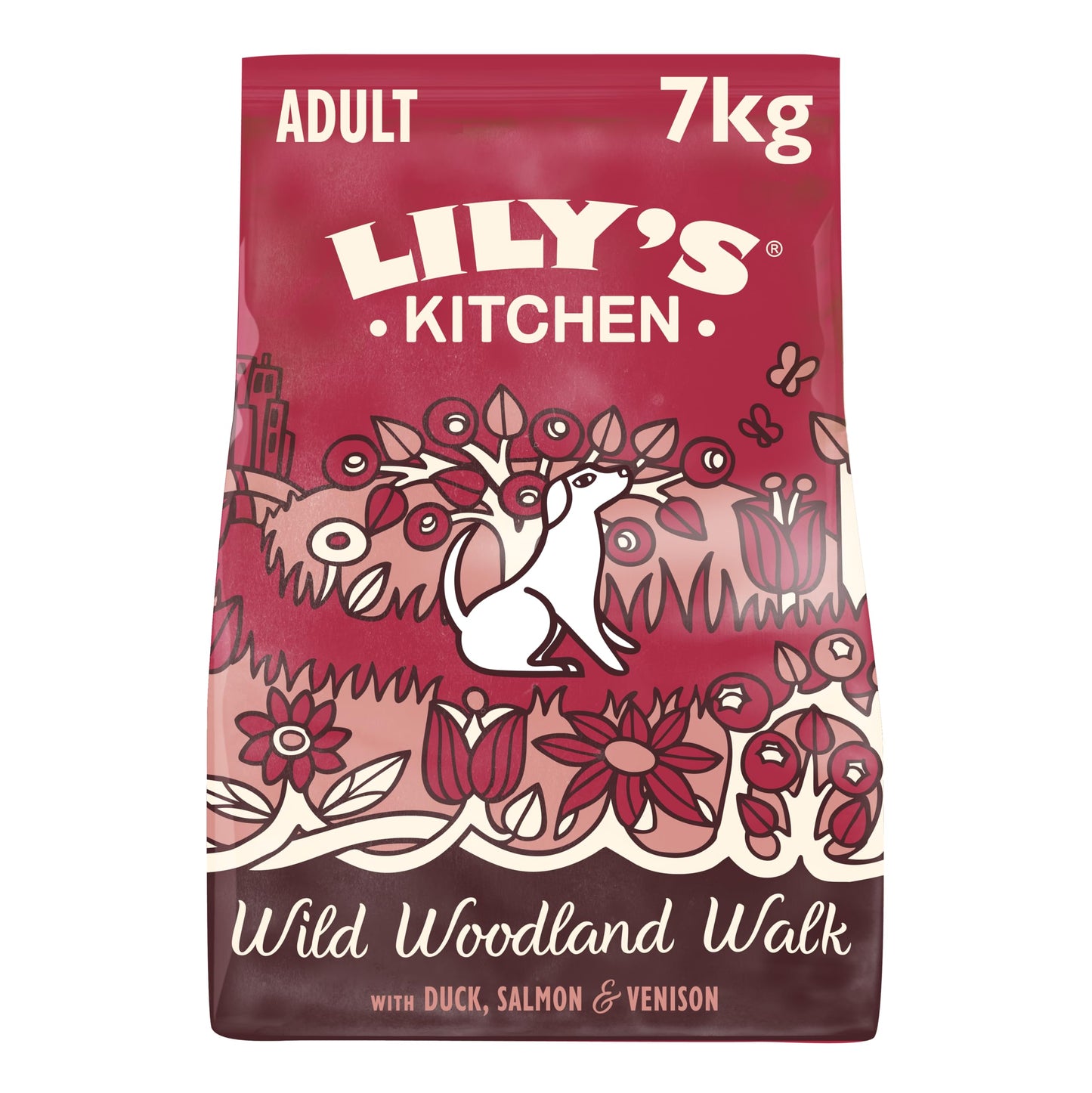 Lily’s Kitchen Made with Natural Ingredients Adult Dry Dog Food Balanced Recipe