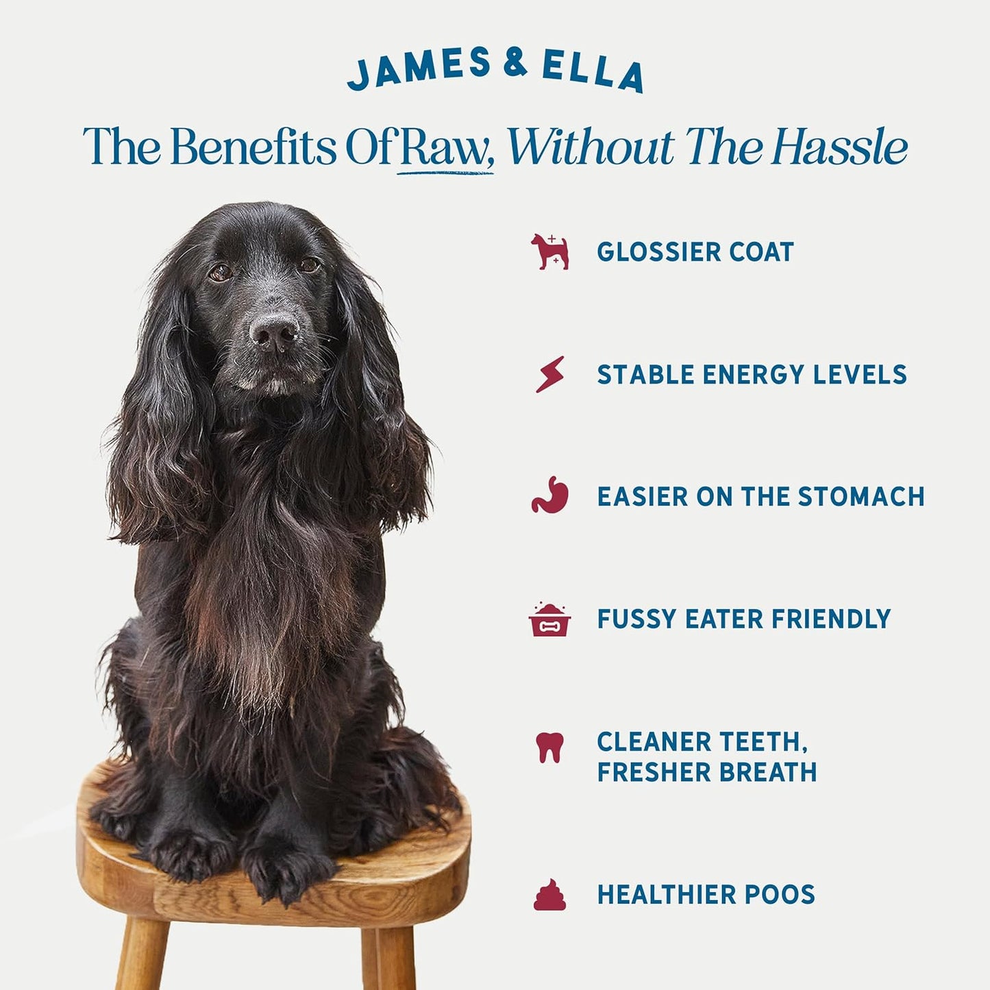 James & Ella Kibble + Raw Dog Food - Grass Fed Beef (1.5kg) ❘ Nutritious High Protein Kibble Combined with Freeze-Dried Raw Meat Nuggets, Contains Essential Oils & Minerals, Grain & Gluten Free