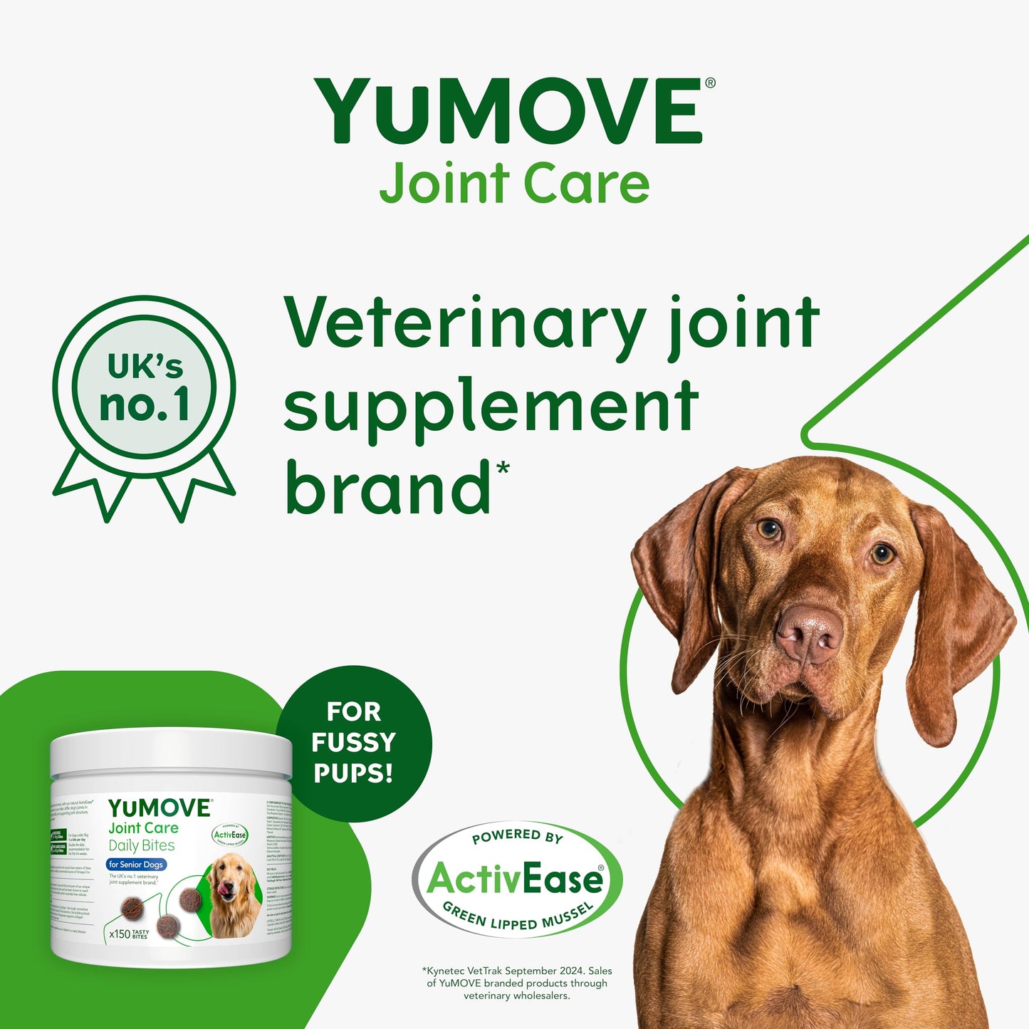 YuMOVE Max Strength Joint Supplement for Senior Dogs, Essential Dog Hip and Joint Aid for Senior Dogs with Glucosamine, Chondroitin, Green Lipped Mussel, Aged 8+, 60 Chews