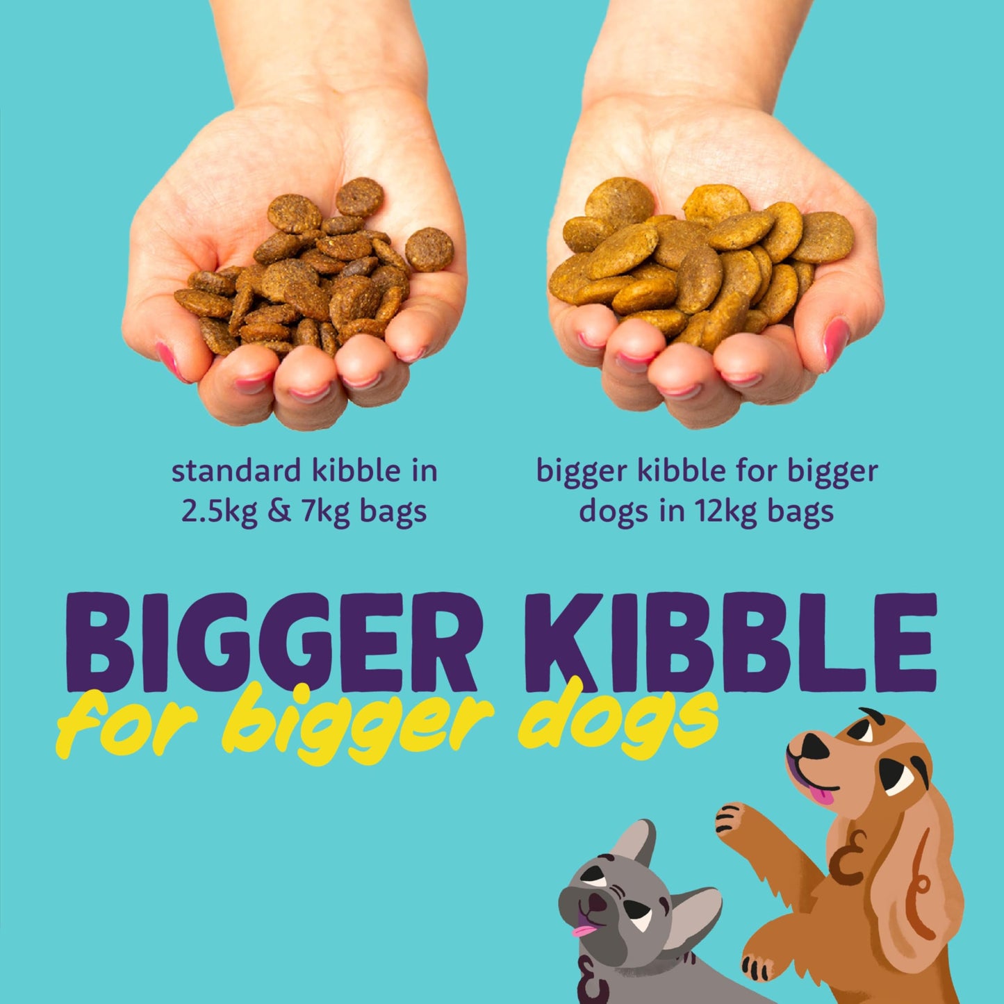 Edgard Cooper Grain Free Dog Food Dry, Natural Kibble Dry Dog Food for Adults, Gluten-Free, Hypoallergenic, with Fresh Meat & Amino Acids