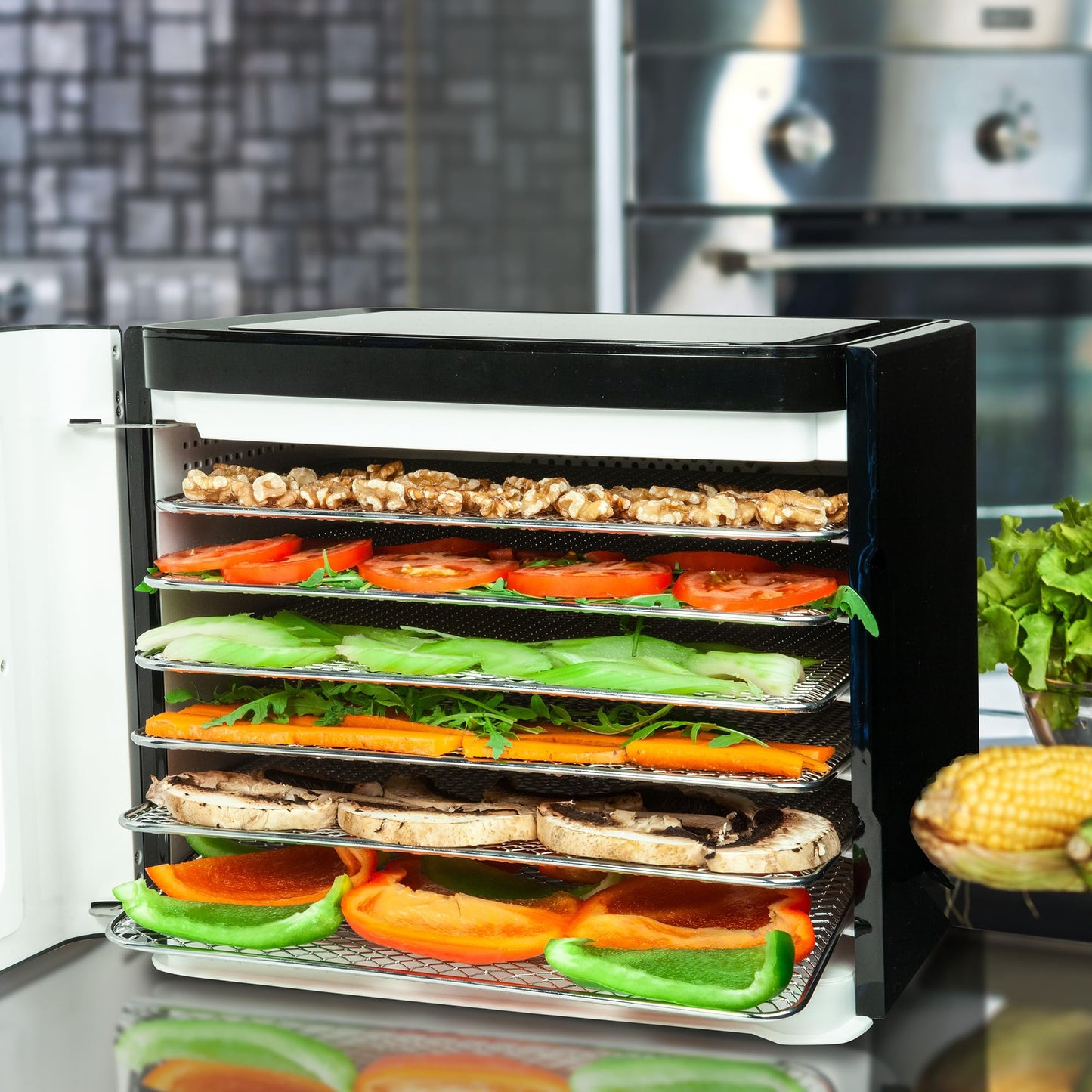 Nebula 450W Round 5 Tray Food Dehydrator | Adjustable Height, 35-70°C Temperature Control, 1-48 Hour Timer, Mesh Trays | Compact & Efficient Drying for Fruits, Vegetables, Meat, Herbs & Snacks