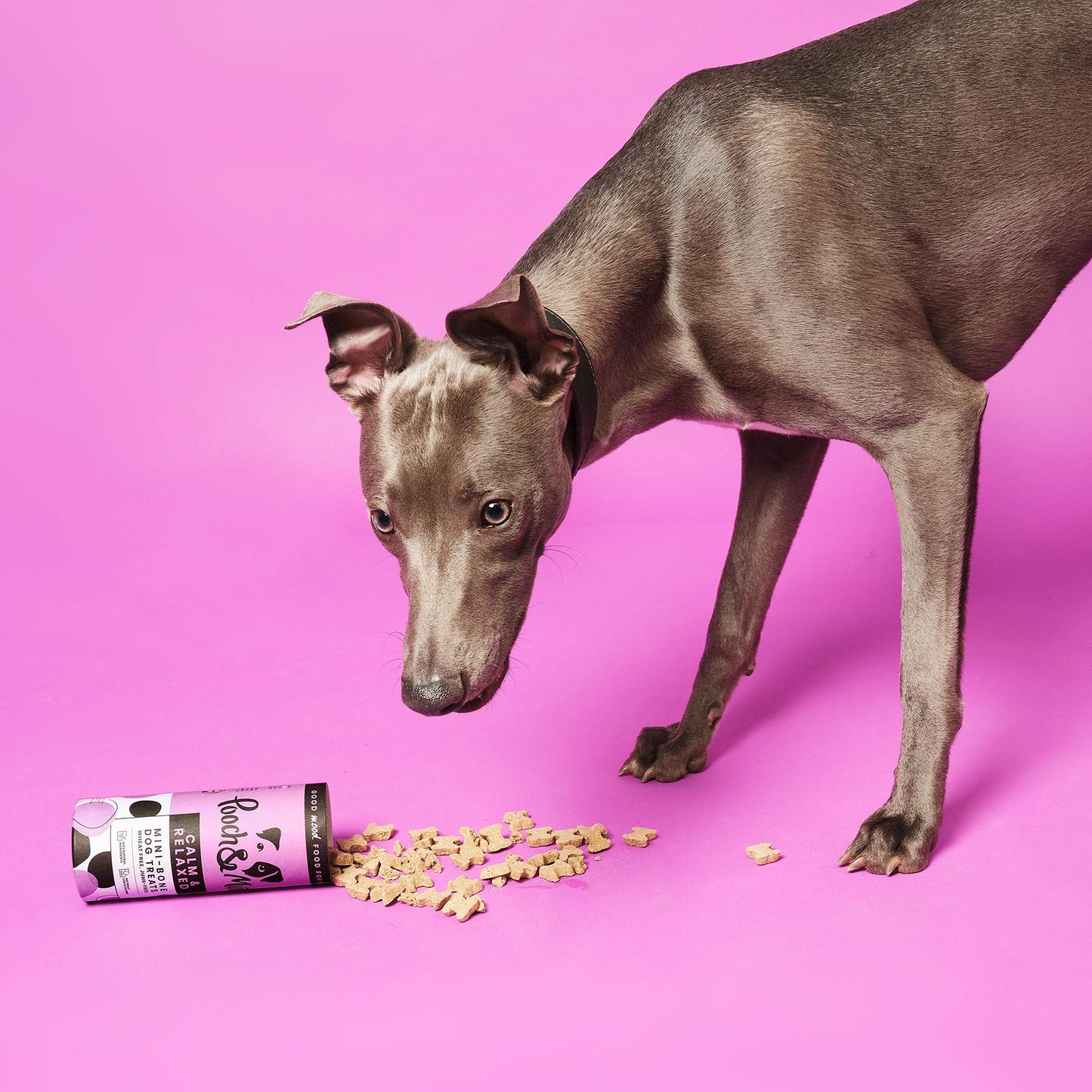Pooch & Mutt - Meaty Jerky Treats, Grain Free Baltic Beef for Training Reward