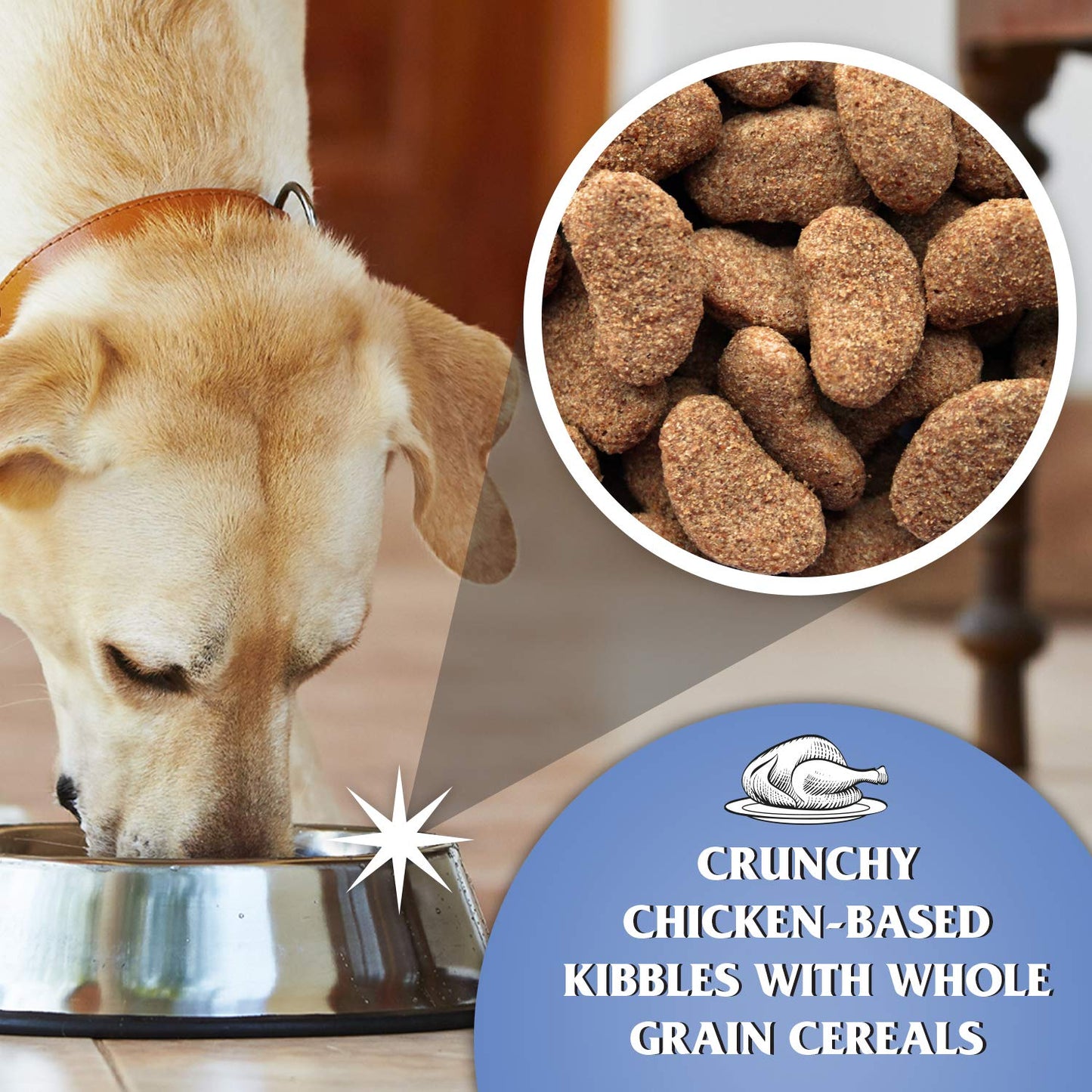 Dr John Silver Dry Dog Food 15kg - Beef with Vegetables - Complete Dog Biscuits 15kg - Senior and Adult Dog Food for Light Activity, Maintenance and Resting Dogs
