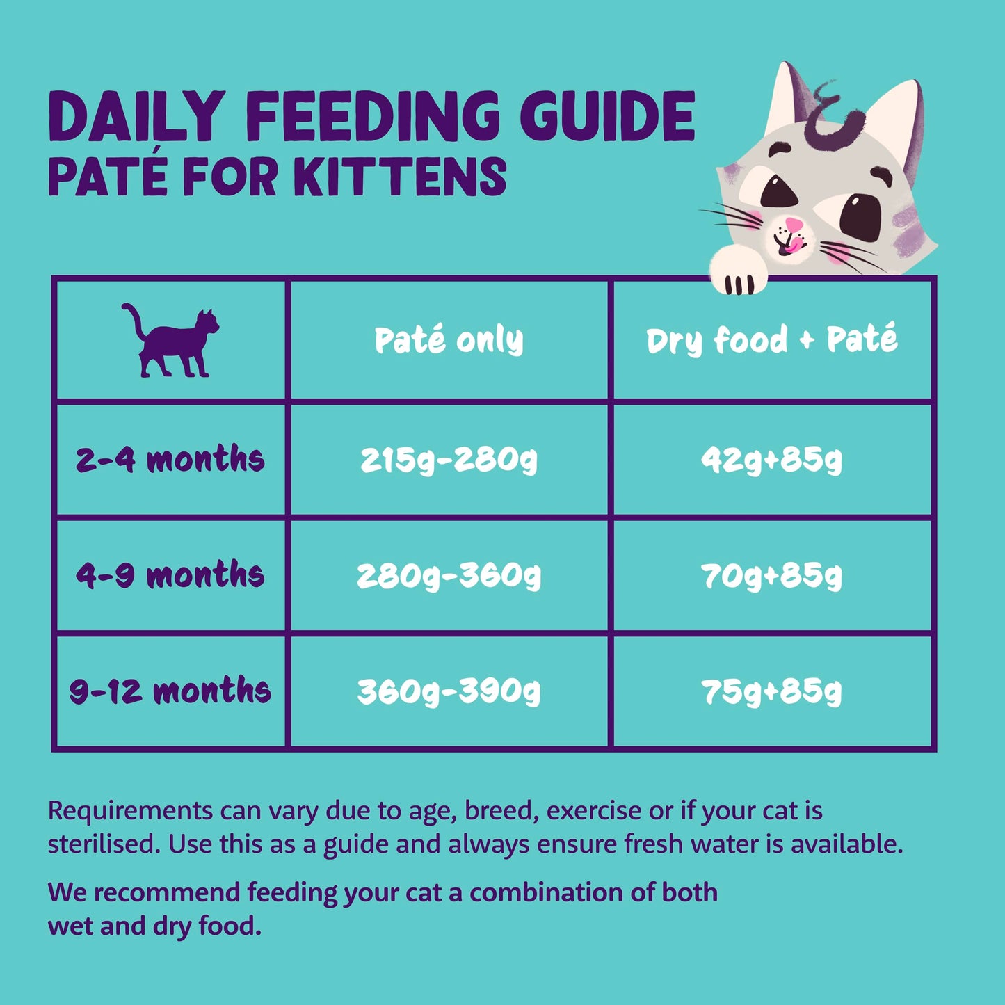 Edgard Cooper Grain Free Wet Cat Food Pate for Adult Cats (Salmon&Chicken 16 x 85g), Natural Cat Food in Cup for Sterilized or Active Cats, Fresh Meat, No Added Sugar