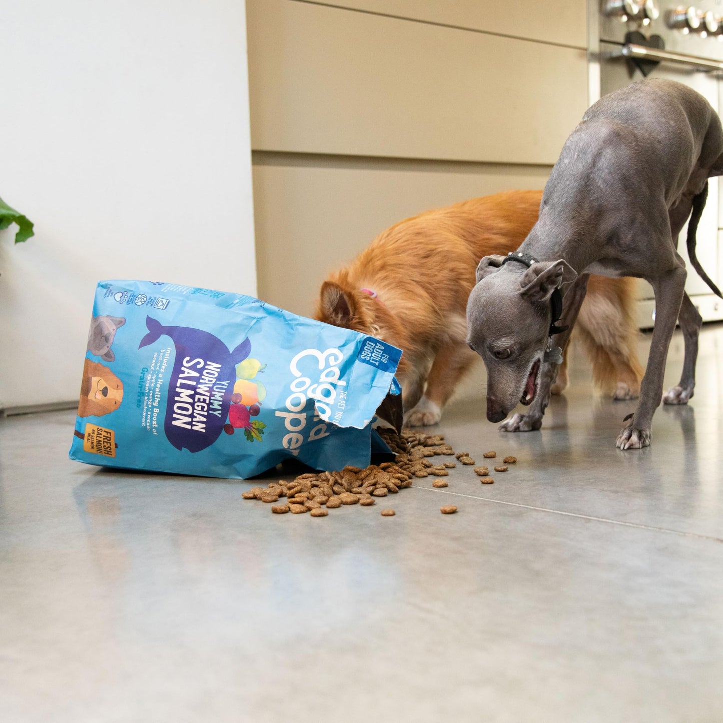 Edgard Cooper Grain Free Dog Food Dry, Natural Kibble Dry Dog Food for Adults, Gluten-Free, Hypoallergenic, with Fresh Meat & Amino Acids