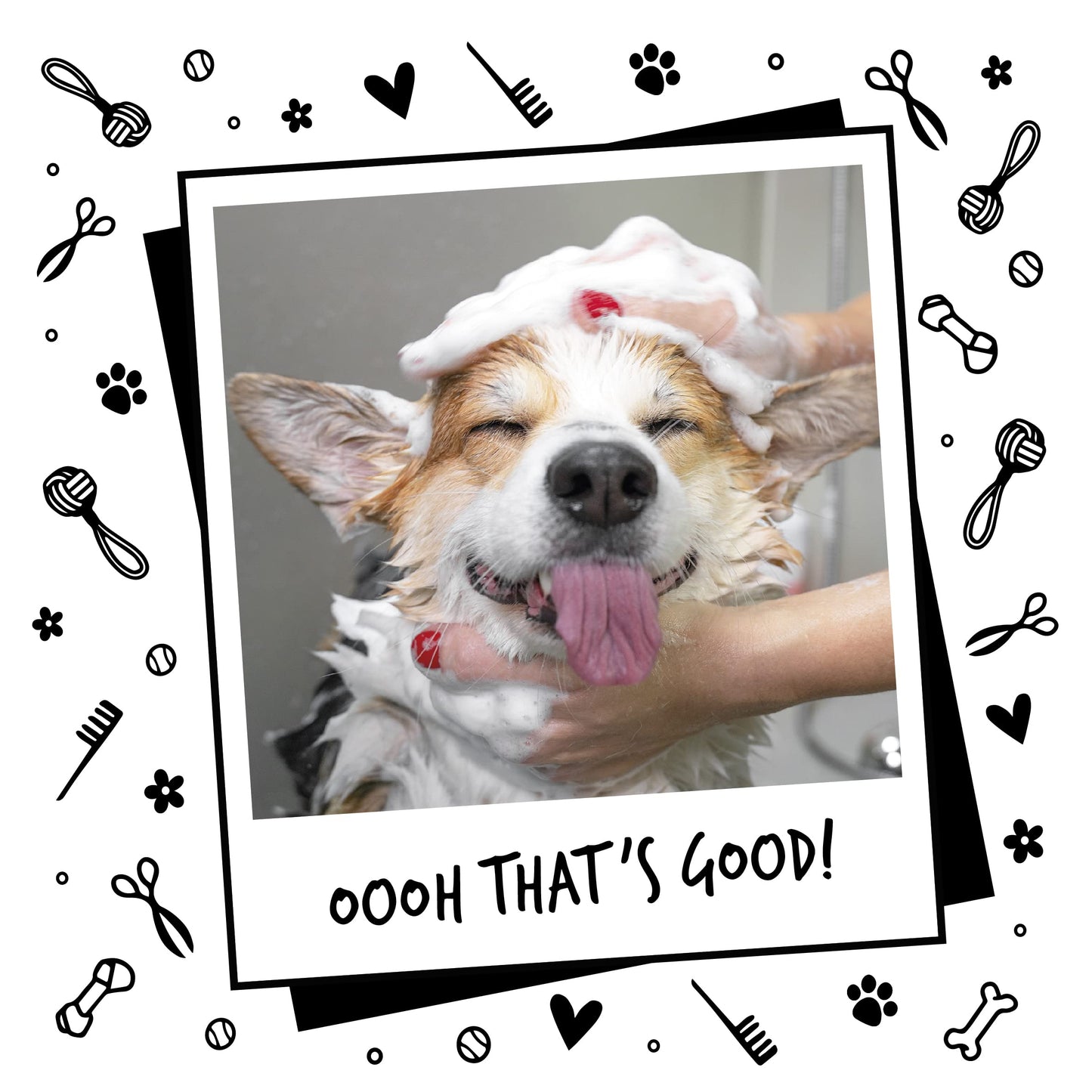 BUGALUGS Baby Fresh Dog Shampoo grooming products for smelly dogs with baby powder scent, best puppy shampoo, Vegan pet shampoo professional (625ml)