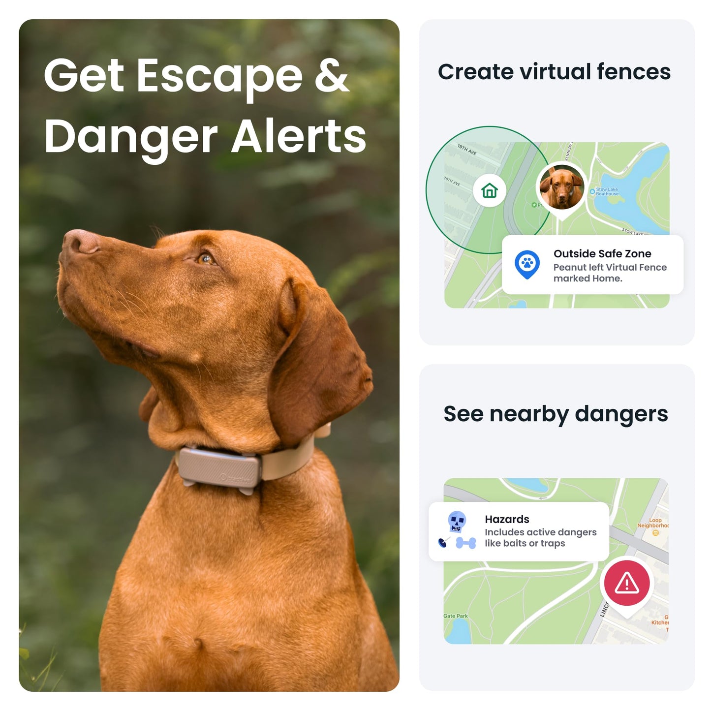 Tractive GPS Dog Tracker | 2025 Edition | Market leader | Real-time location tracking | Escape Alerts | Activity Monitoring | Health Alerts | Bark Monitoring