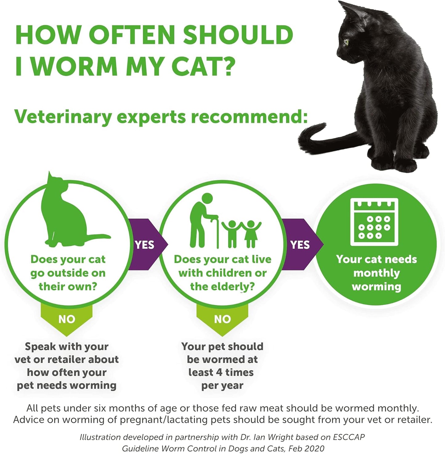 Dronspot Worming Spot On For Medium Cats (2.5-5kg)