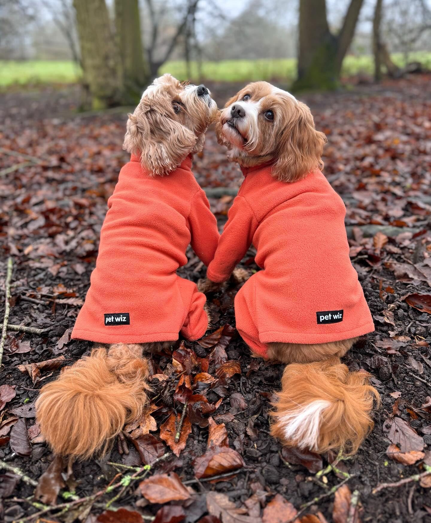 Warm Four-Legged Dog Fleece – Super Soft, Weather-Resistant, Available in a Range of Sizes and Colours
