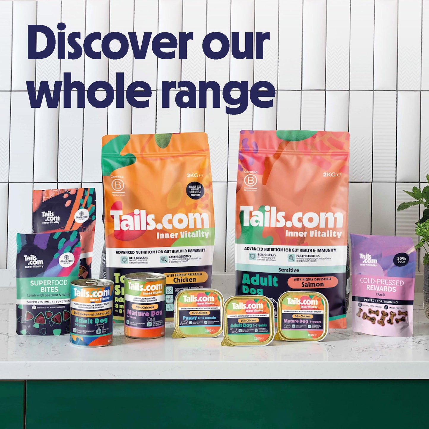 Tails.com Inner Vitality - Wet Dog Food Tin Adult Chicken 6 x 400g - 1-7 yrs - Source of antioxidants from parsley & blueberry extract