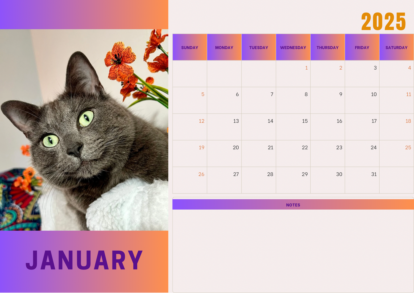 Cats 2 calendar 2025 A4 landscape