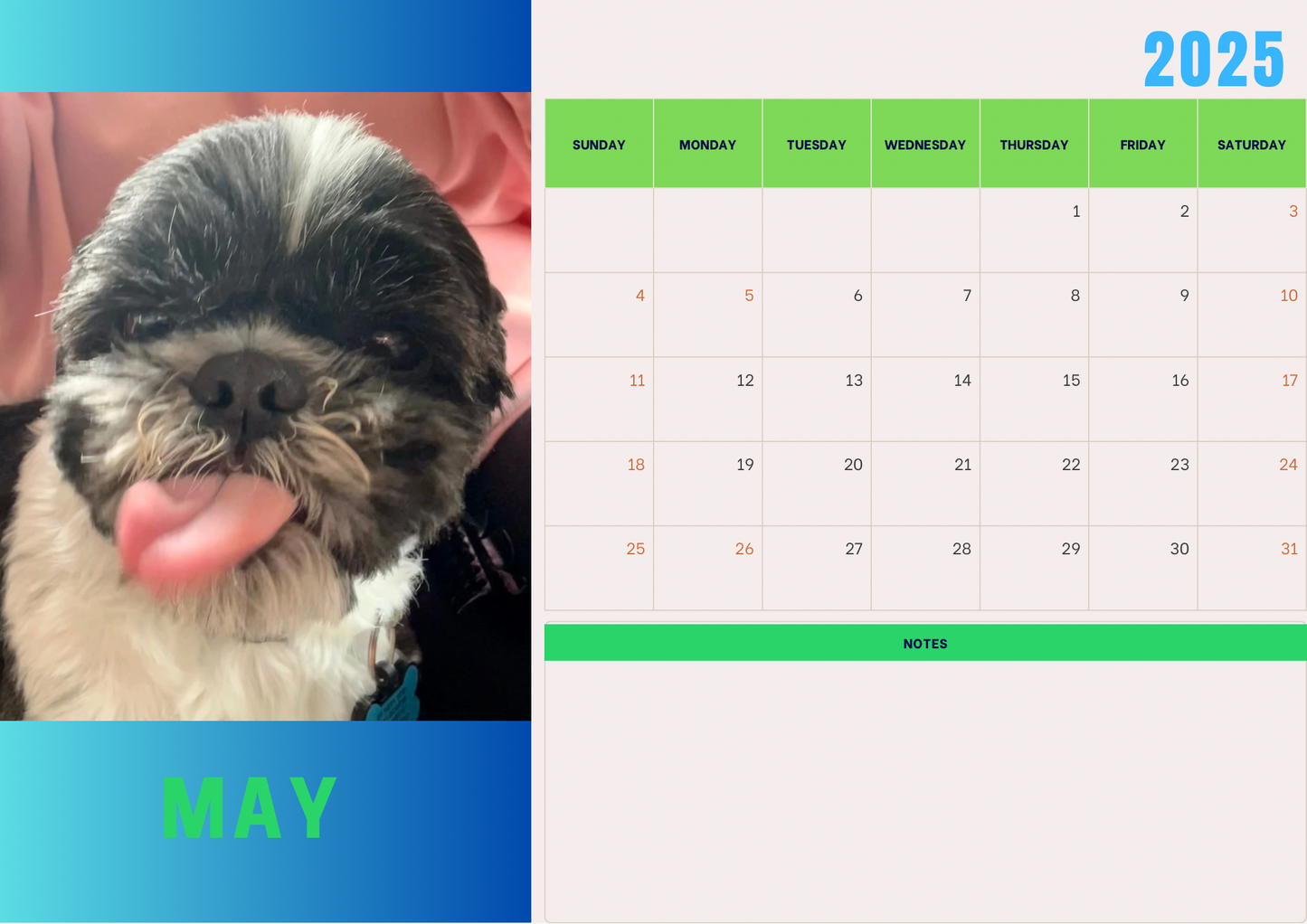 Dogs 2 calendar 2025 A4 landscape