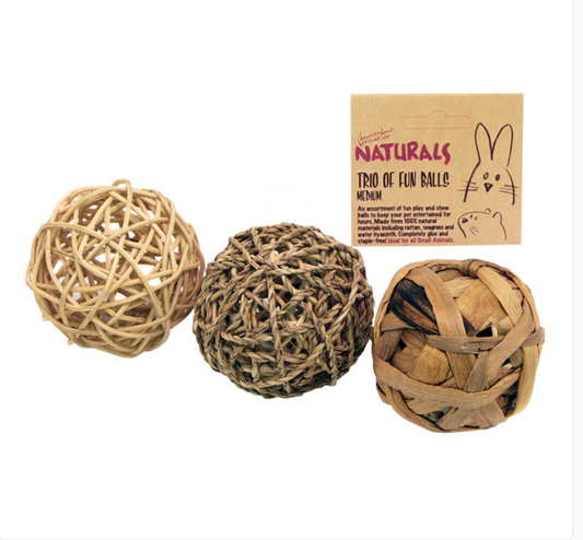 Rosewood Naturals Trio of Fun Ball Medium