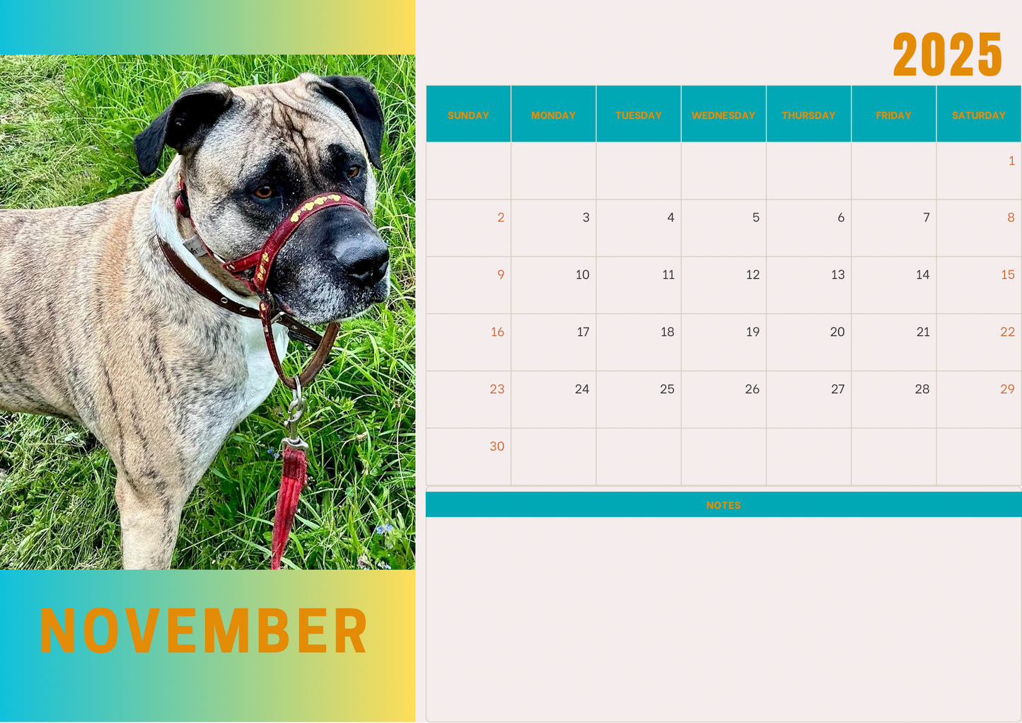 Dogs 2 calendar 2025 A4 landscape