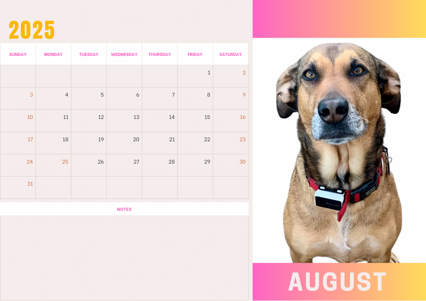 Dogs 2 calendar 2025 A4 landscape