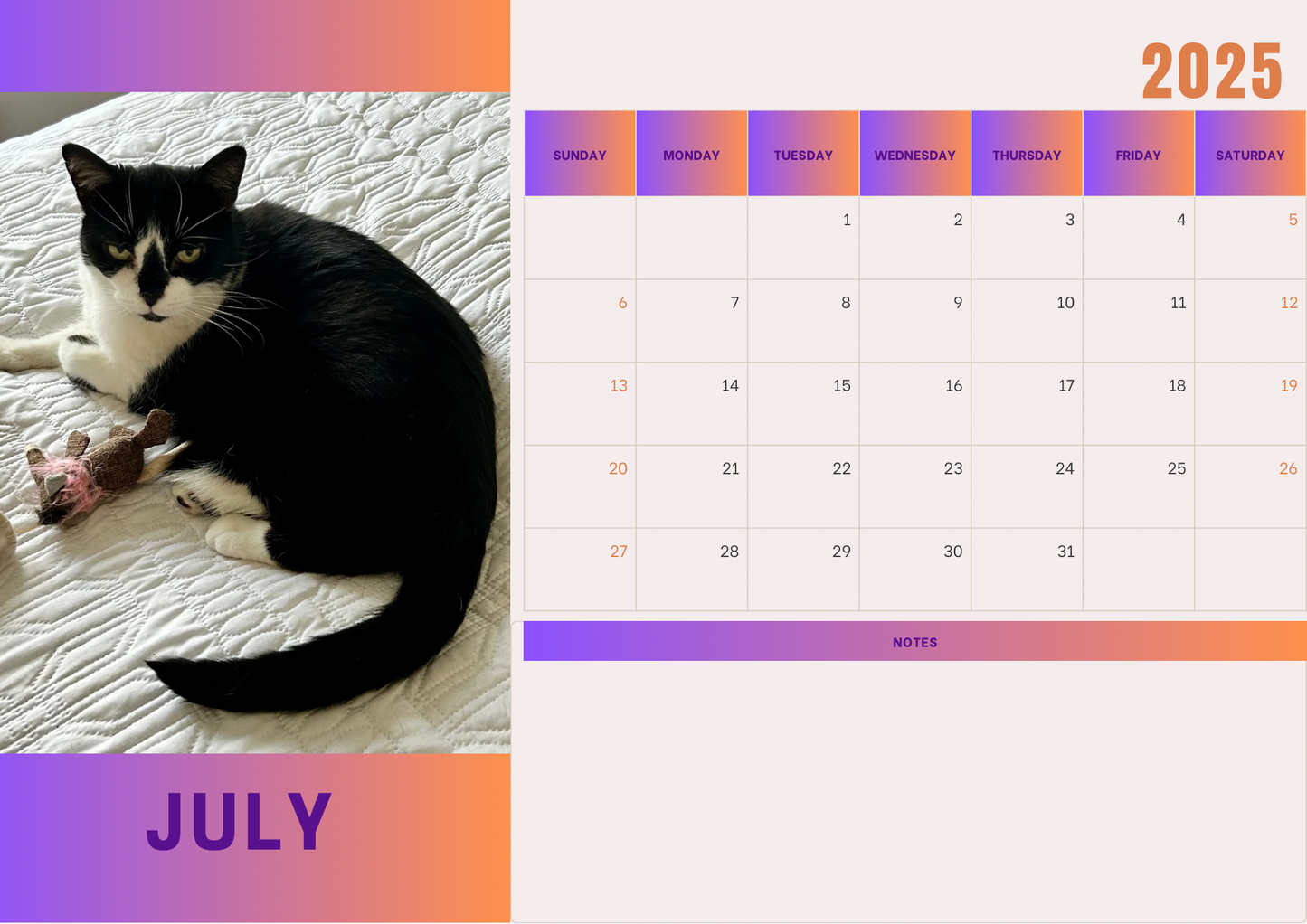 Cats calendars 2025 A4 landscape