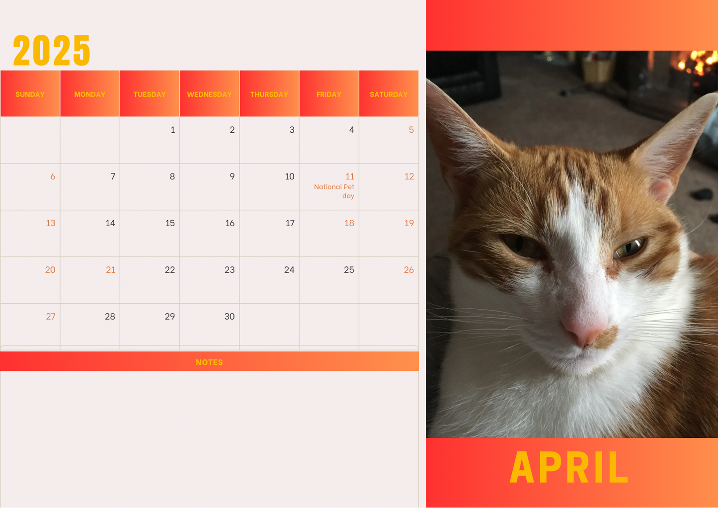 Cats 2 calendar 2025 A4 landscape