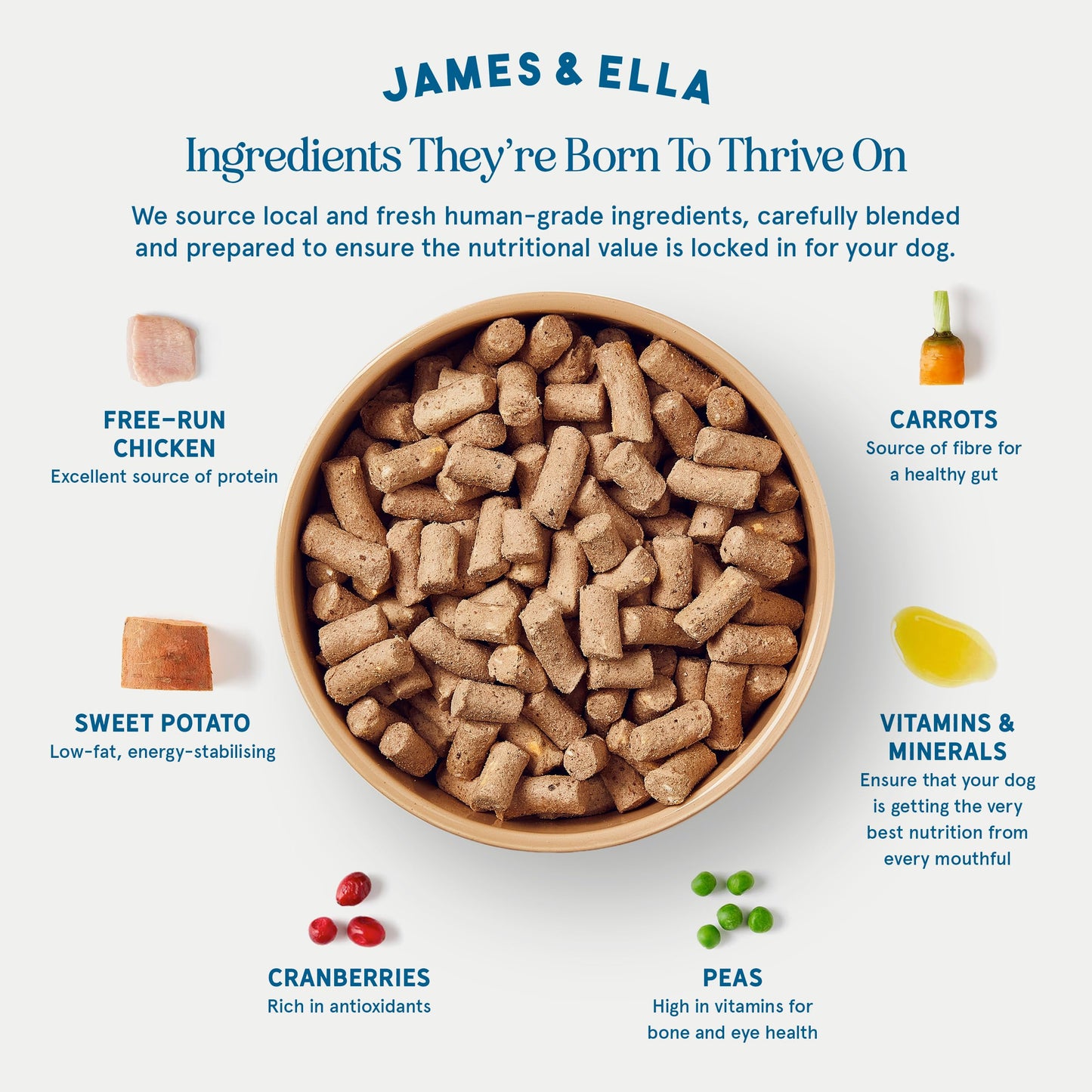 James & Ella Complete Freeze-Dried Raw Dog Food ❘ Free Run Chicken ❘ Freeze-Dried Dog Food, Packed with Protein, Essential Oils & Minerals for Happy, Healthy Dogs, Lightweight & Gluten Free (500g)