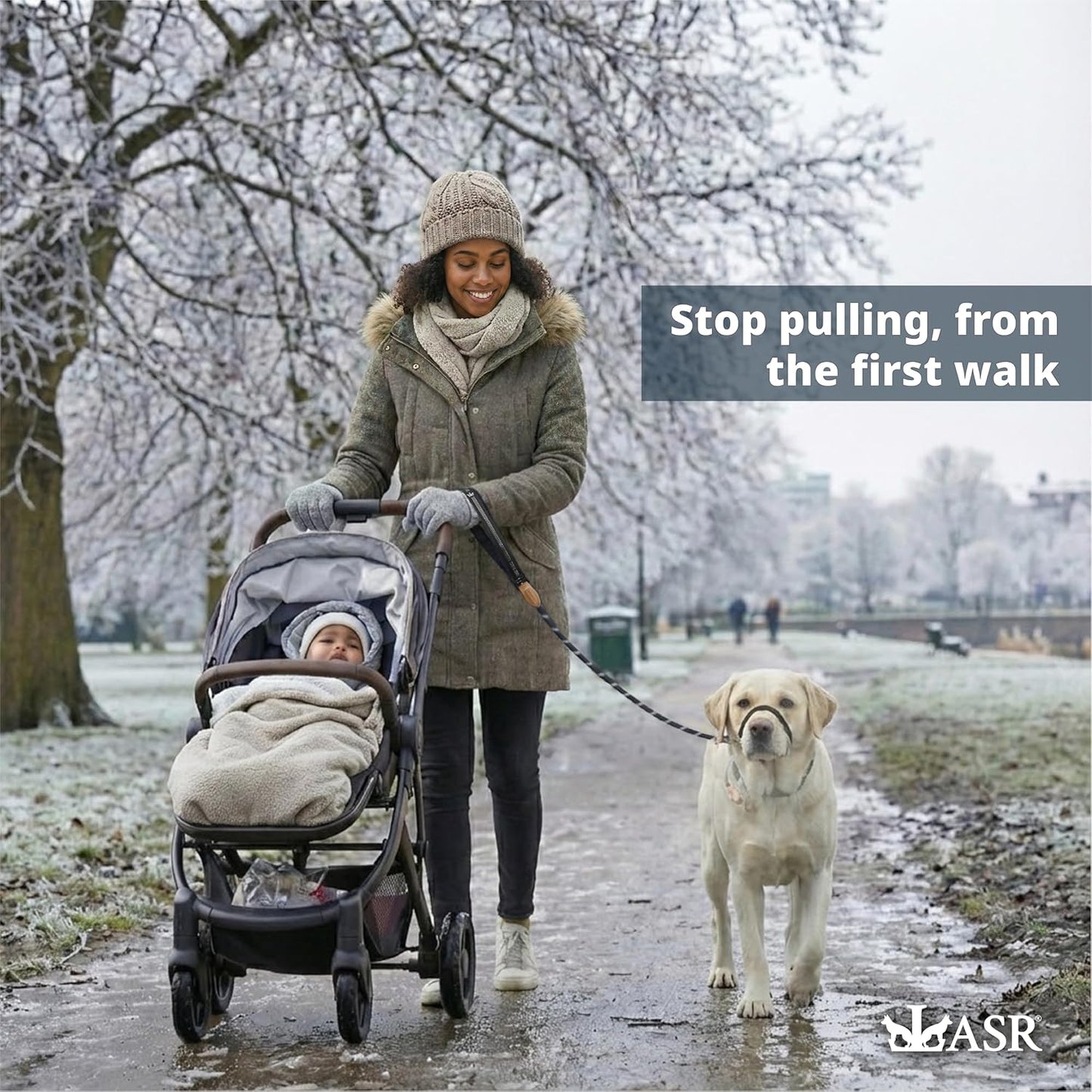 Figure of 8 Slip Lead for Dogs, Dual-Use No-Pull Training Leash with Stopper, Neoprene Nose Padding, Reflective Safety Strip and Robust Static 14-Core Nylon Rope