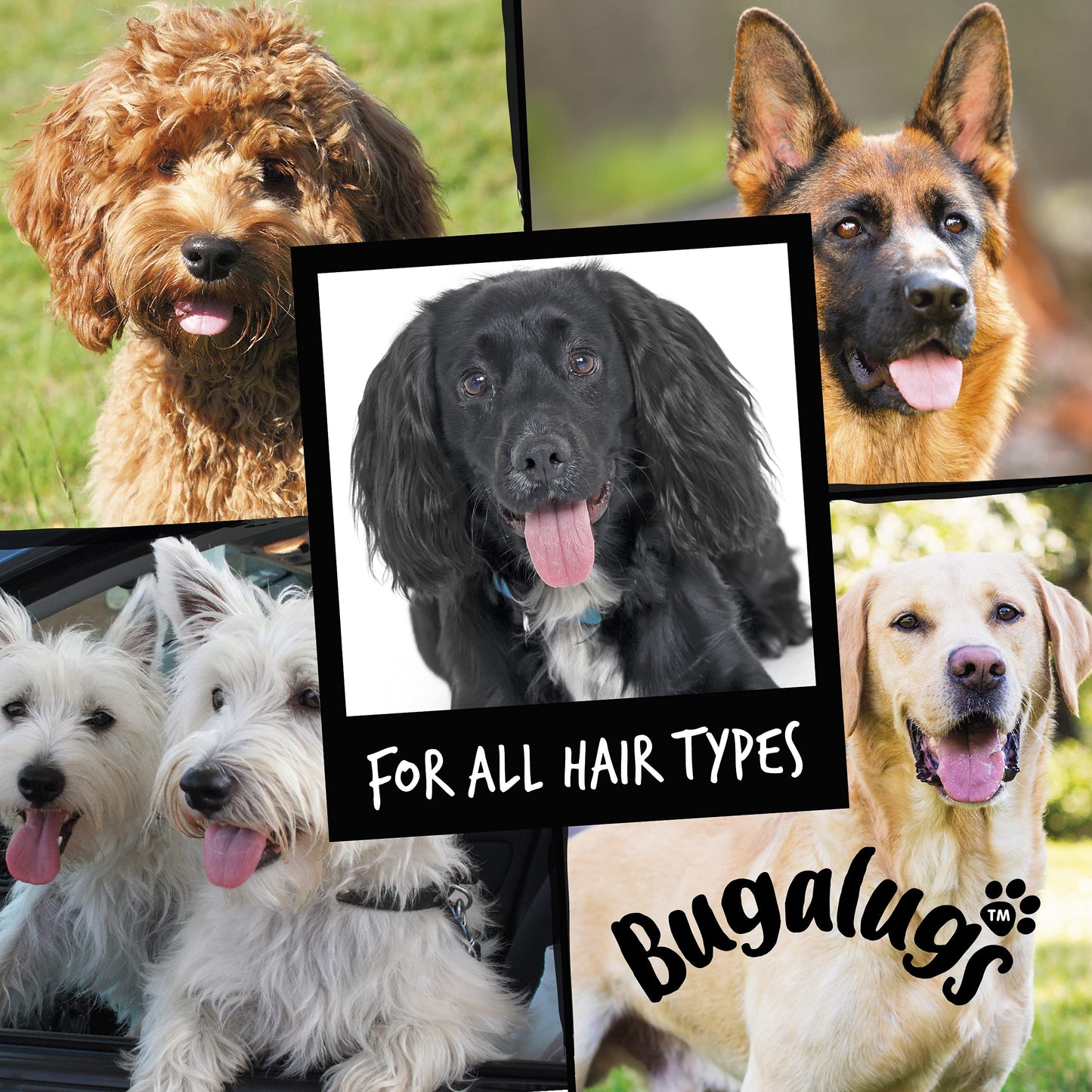 BUGALUGS Itchy Dog Shampoo with Oatmeal & Aloe Vera Dog professional Vegan dog grooming products for smelly dogs with fragrance can use as puppy shampoo (500ml)