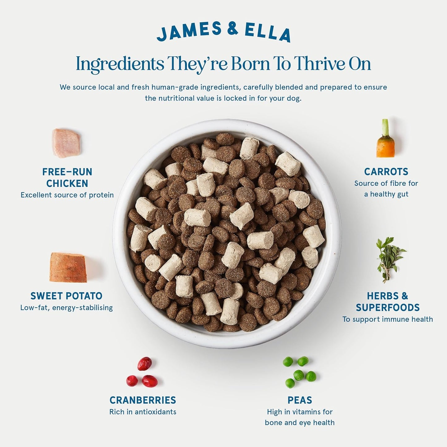 James & Ella Kibble + Raw Dog Food - Grass Fed Beef (1.5kg) ❘ Nutritious High Protein Kibble Combined with Freeze-Dried Raw Meat Nuggets, Contains Essential Oils & Minerals, Grain & Gluten Free