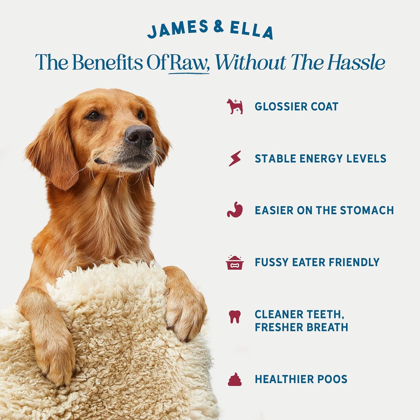 James & Ella Freeze-Dried Dog Treats (40g) ❘ Delicious Country Game Freeze-Dried Dog Treats, Packed with Protein, Essential Oils & Minerals for Happy, Healthy Dogs, Lightweight & Gluten Free